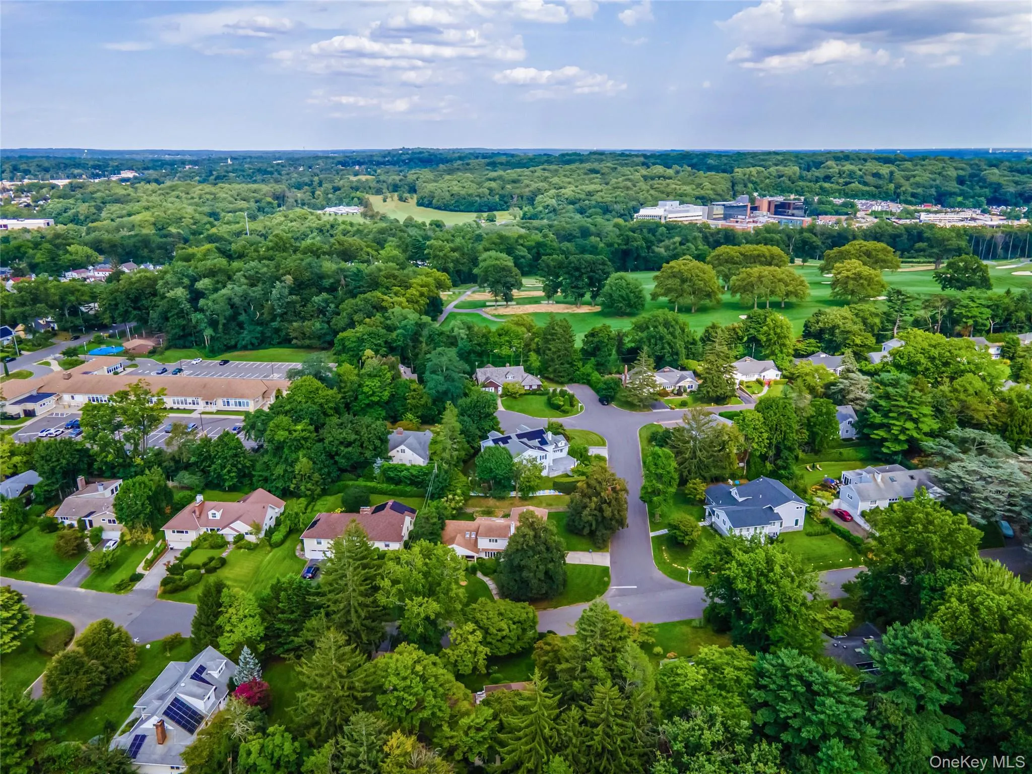 9 Talbot Drive, North Hempstead, NY, 6 Bedrooms Bedrooms, 9 Rooms Rooms,4 BathroomsBathrooms,Residential,For Rent,Talbot,0,1038093 9 Talbot Drive, North Hempstead, NY, 6 Bedrooms Bedrooms, 9 Rooms Rooms,4 BathroomsBathrooms,Residential,For Rent,Talbot,0,1038093
