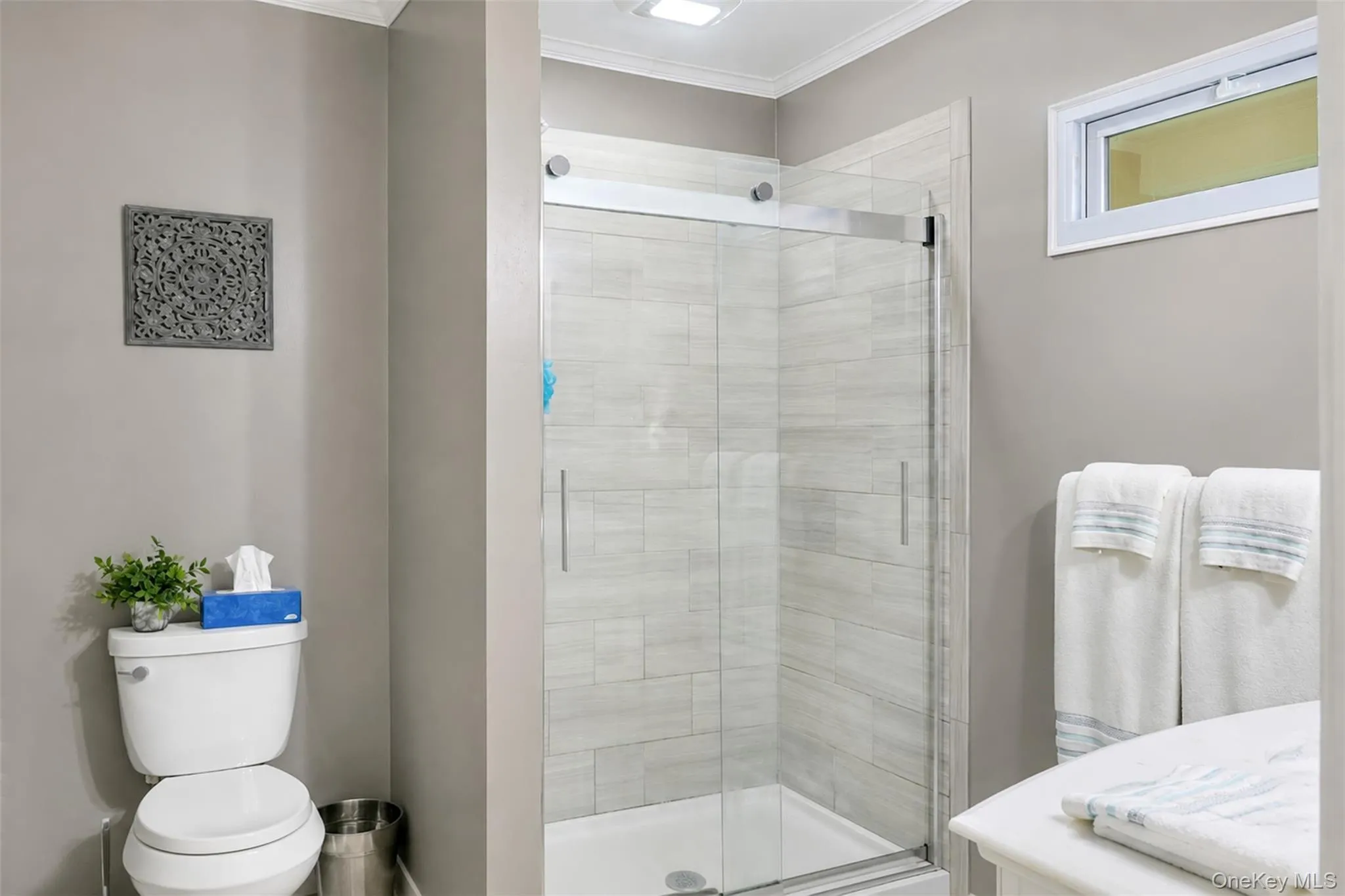 49 Regent Street, Brookhaven, NY, 3 Bedrooms Bedrooms, 8 Rooms Rooms,1 BathroomBathrooms,Residential,For Rent,Regent,0,1038098 49 Regent Street, Brookhaven, NY, 3 Bedrooms Bedrooms, 8 Rooms Rooms,1 BathroomBathrooms,Residential,For Rent,Regent,0,1038098