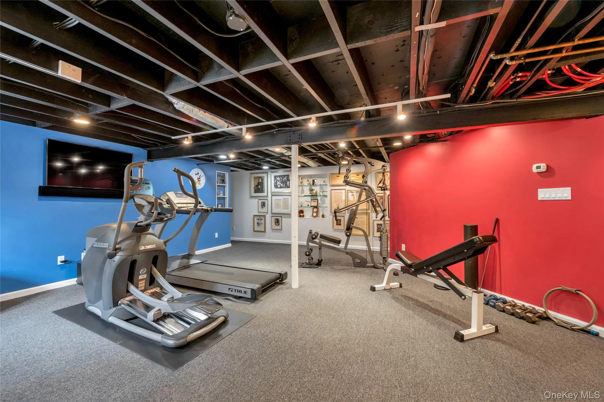 Gym Gym