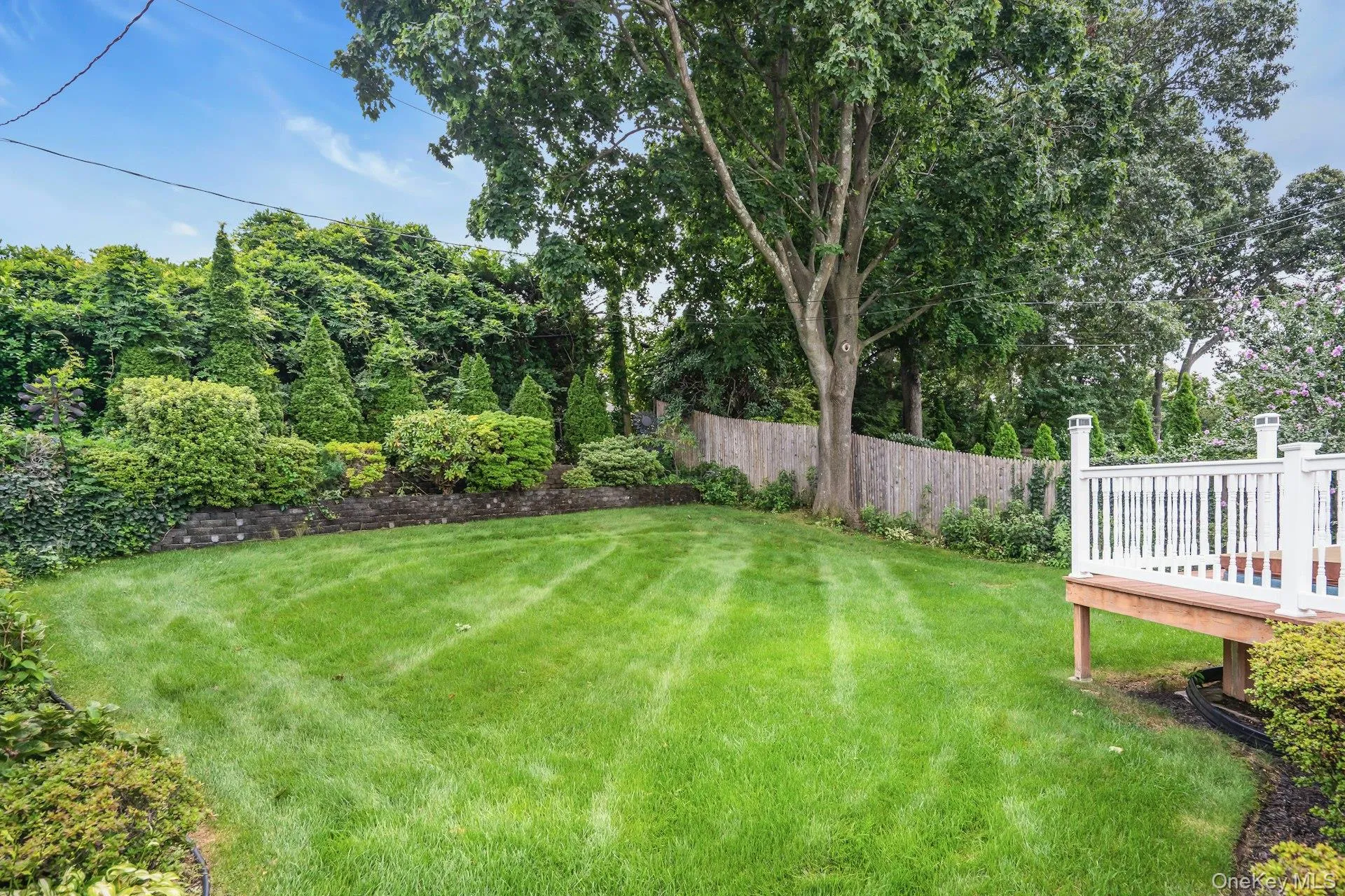 Lawn. Lawn.