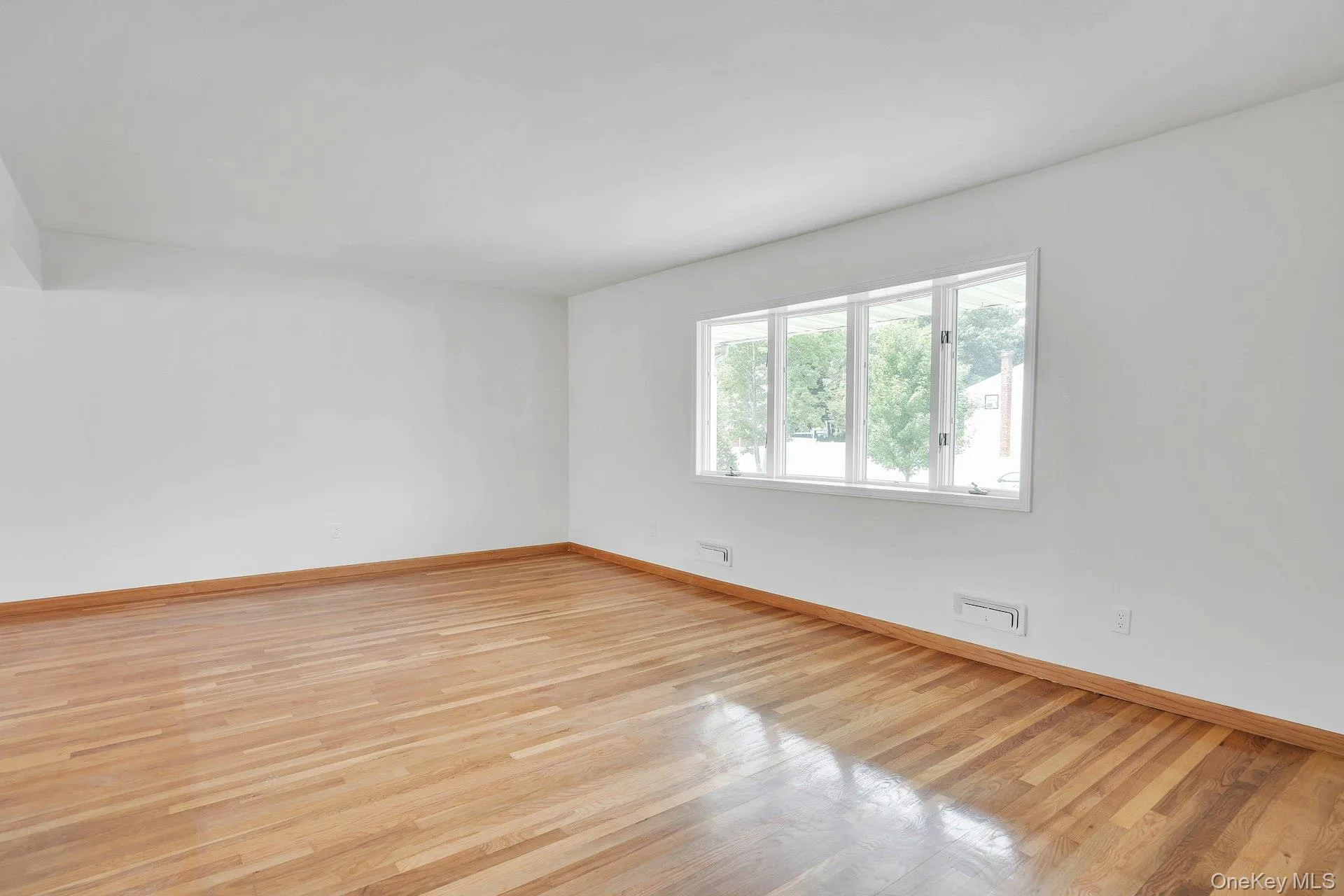 A lot of natural light. A lot of natural light.