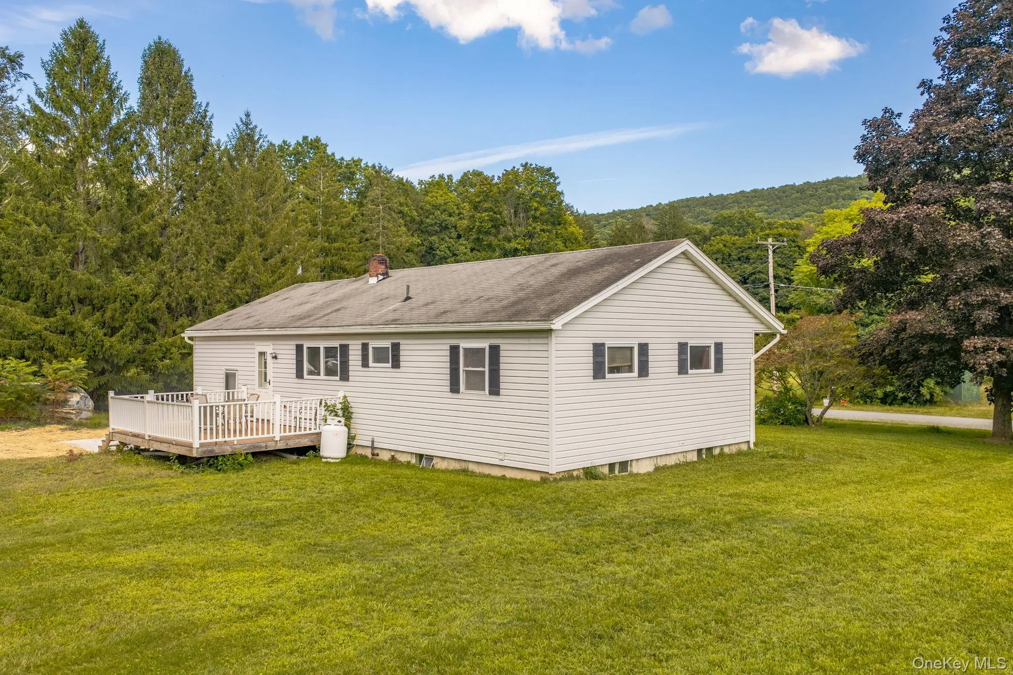 3 Wihelmina Street, Port Jervis, NY, 2 Bedrooms Bedrooms, 5 Rooms Rooms,1 BathroomBathrooms,Residential,For Rent,Wihelmina,0,1038134 3 Wihelmina Street, Port Jervis, NY, 2 Bedrooms Bedrooms, 5 Rooms Rooms,1 BathroomBathrooms,Residential,For Rent,Wihelmina,0,1038134