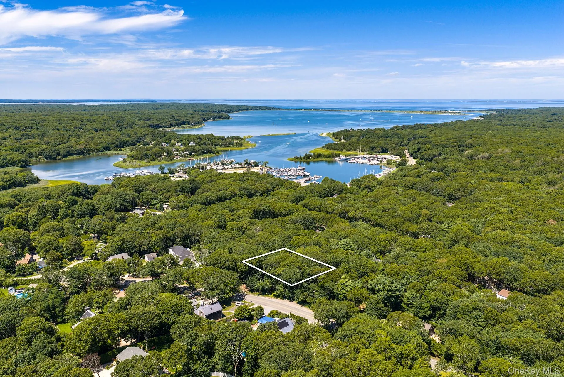21 & 23 Abraham's Path (Also called Pavilion Place) Path, East Hampton, NY, ,Land,For Rent,Abraham's Path (Also called Pavilion Place),0,1038139 21 & 23 Abraham's Path (Also called Pavilion Place) Path, East Hampton, NY, ,Land,For Rent,Abraham's Path (Also called Pavilion Place),0,1038139