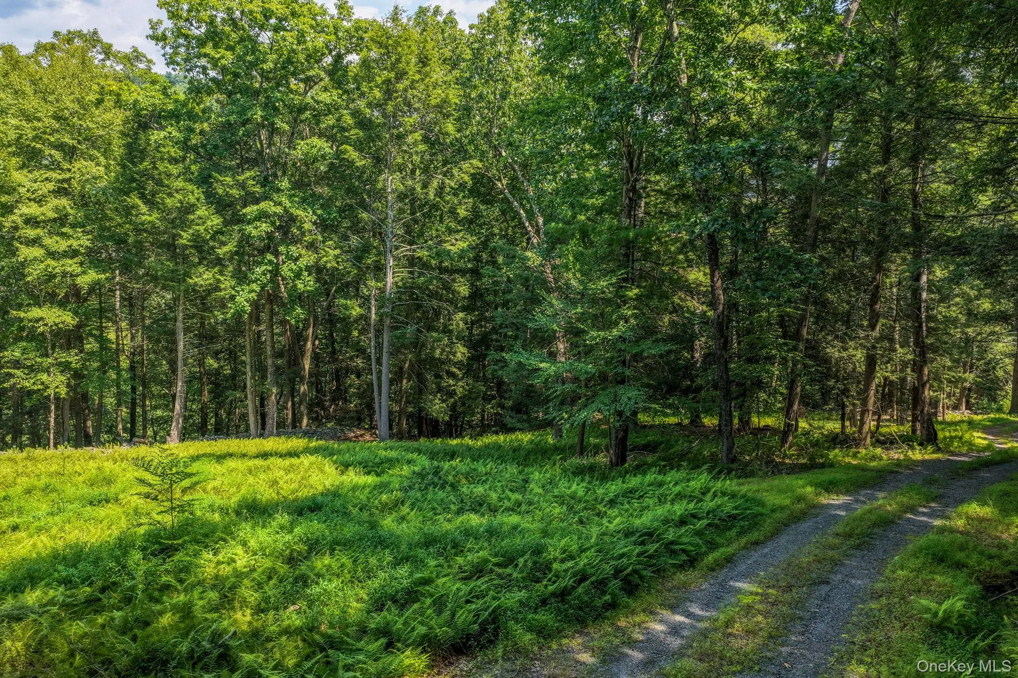 Driveway Driveway