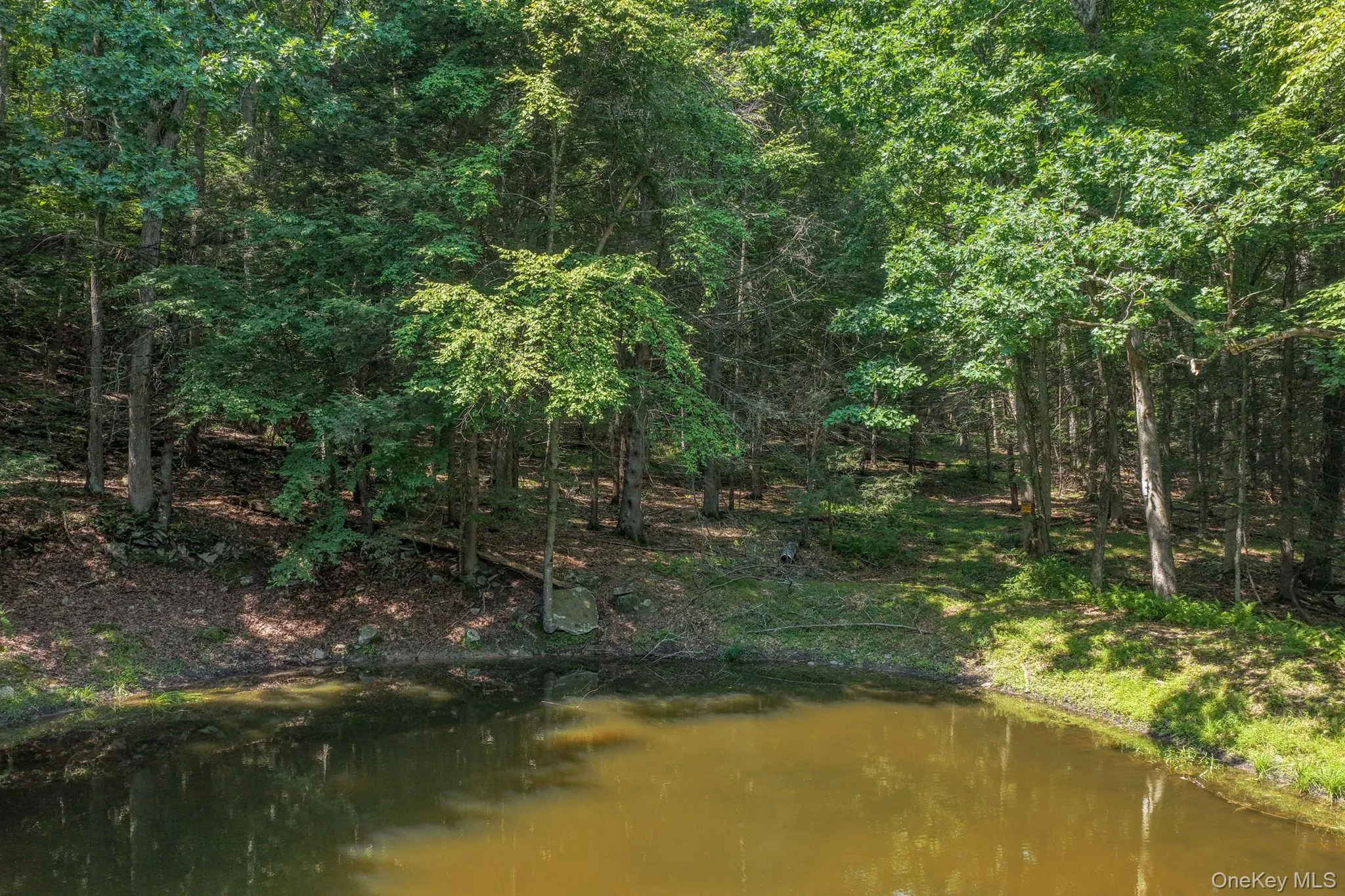 Lot 55.1 Swanerbury Road, Lumberland, NY, ,Land,For Rent,Swanerbury,0,1038145 Lot 55.1 Swanerbury Road, Lumberland, NY, ,Land,For Rent,Swanerbury,0,1038145