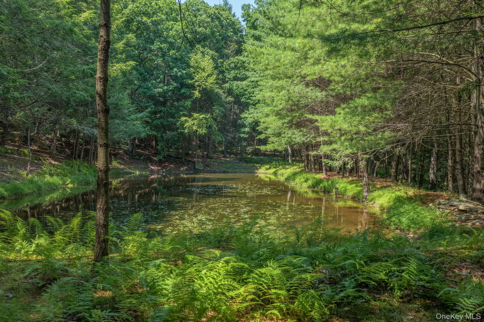 Lot 55.1 Swanerbury Road, Lumberland, NY, ,Land,For Rent,Swanerbury,0,1038145 Lot 55.1 Swanerbury Road, Lumberland, NY, ,Land,For Rent,Swanerbury,0,1038145