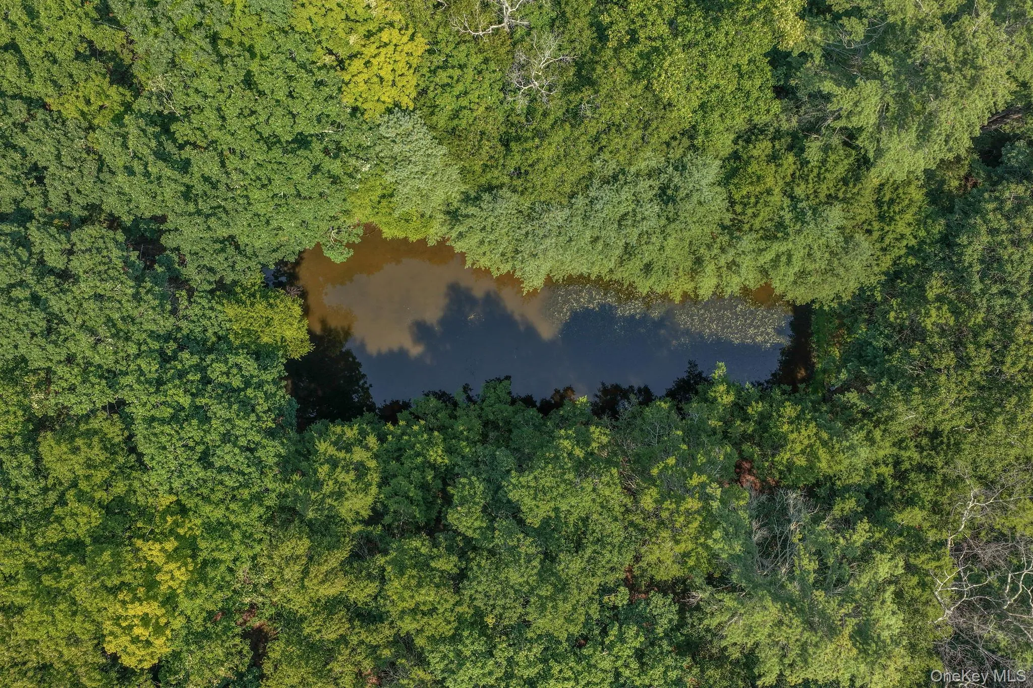 Lot 55.1 Swanerbury Road, Lumberland, NY, ,Land,For Rent,Swanerbury,0,1038145 Lot 55.1 Swanerbury Road, Lumberland, NY, ,Land,For Rent,Swanerbury,0,1038145