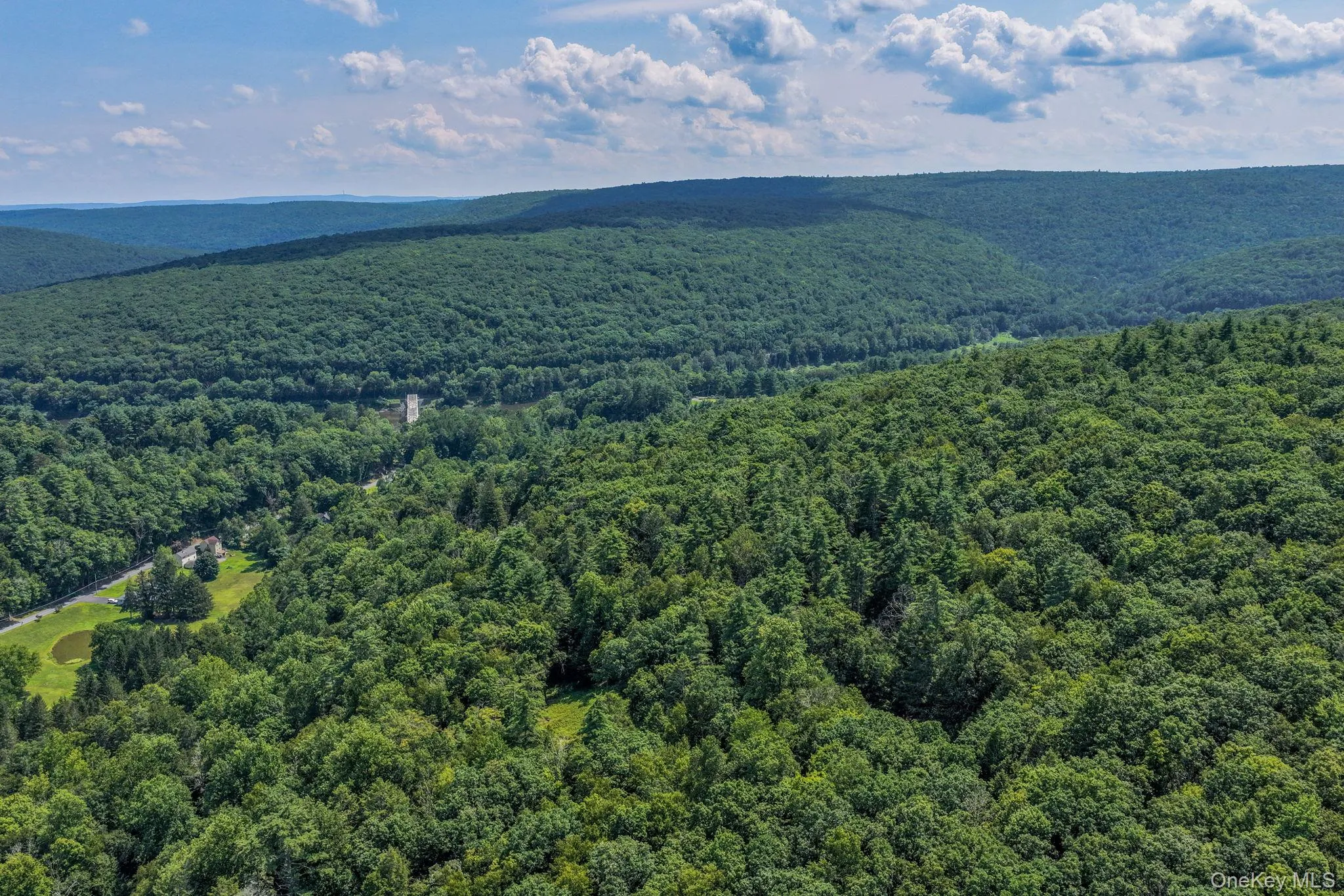 Lot 55.1 Swanerbury Road, Lumberland, NY, ,Land,For Rent,Swanerbury,0,1038145 Lot 55.1 Swanerbury Road, Lumberland, NY, ,Land,For Rent,Swanerbury,0,1038145