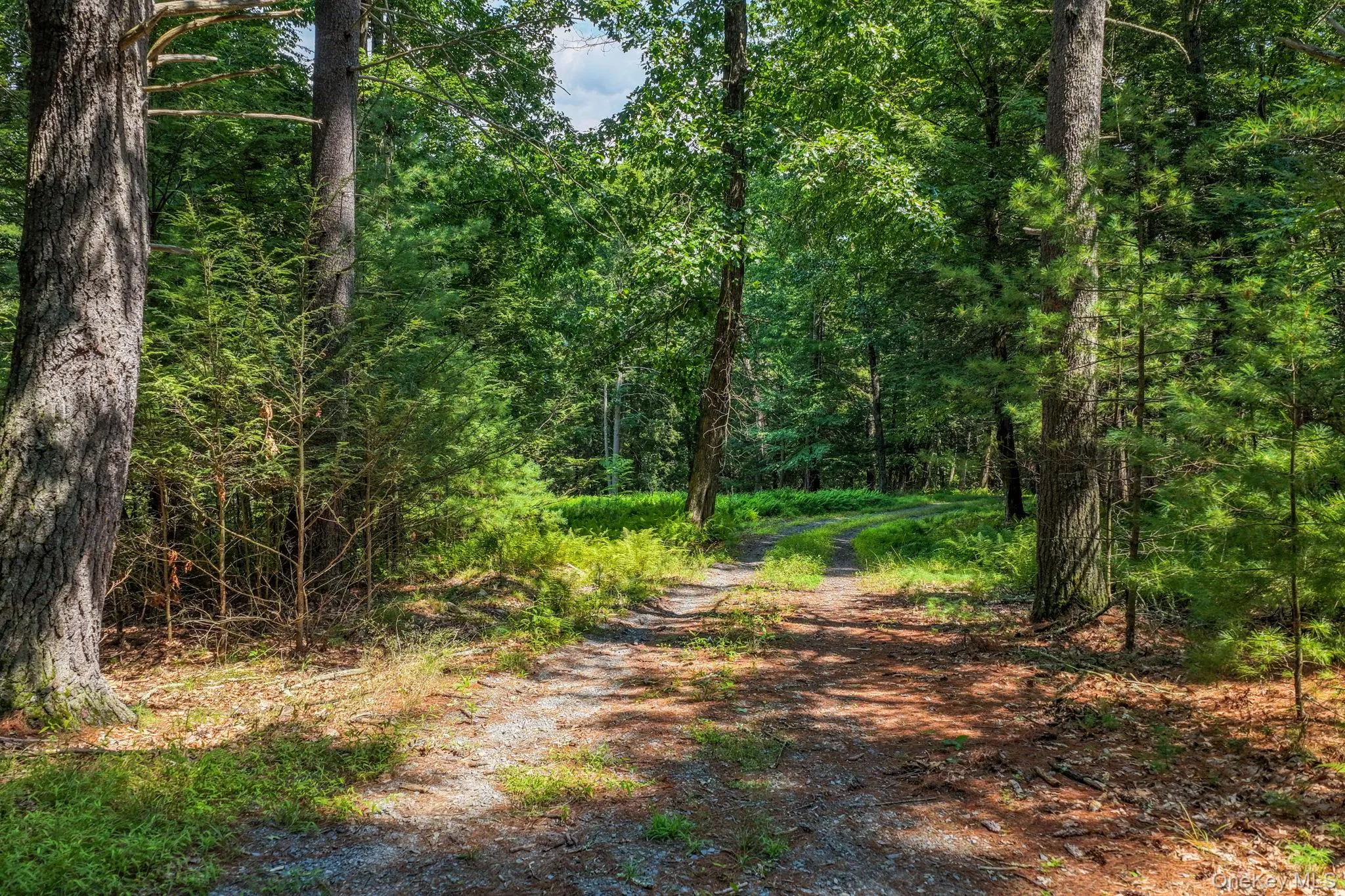 Driveway Driveway