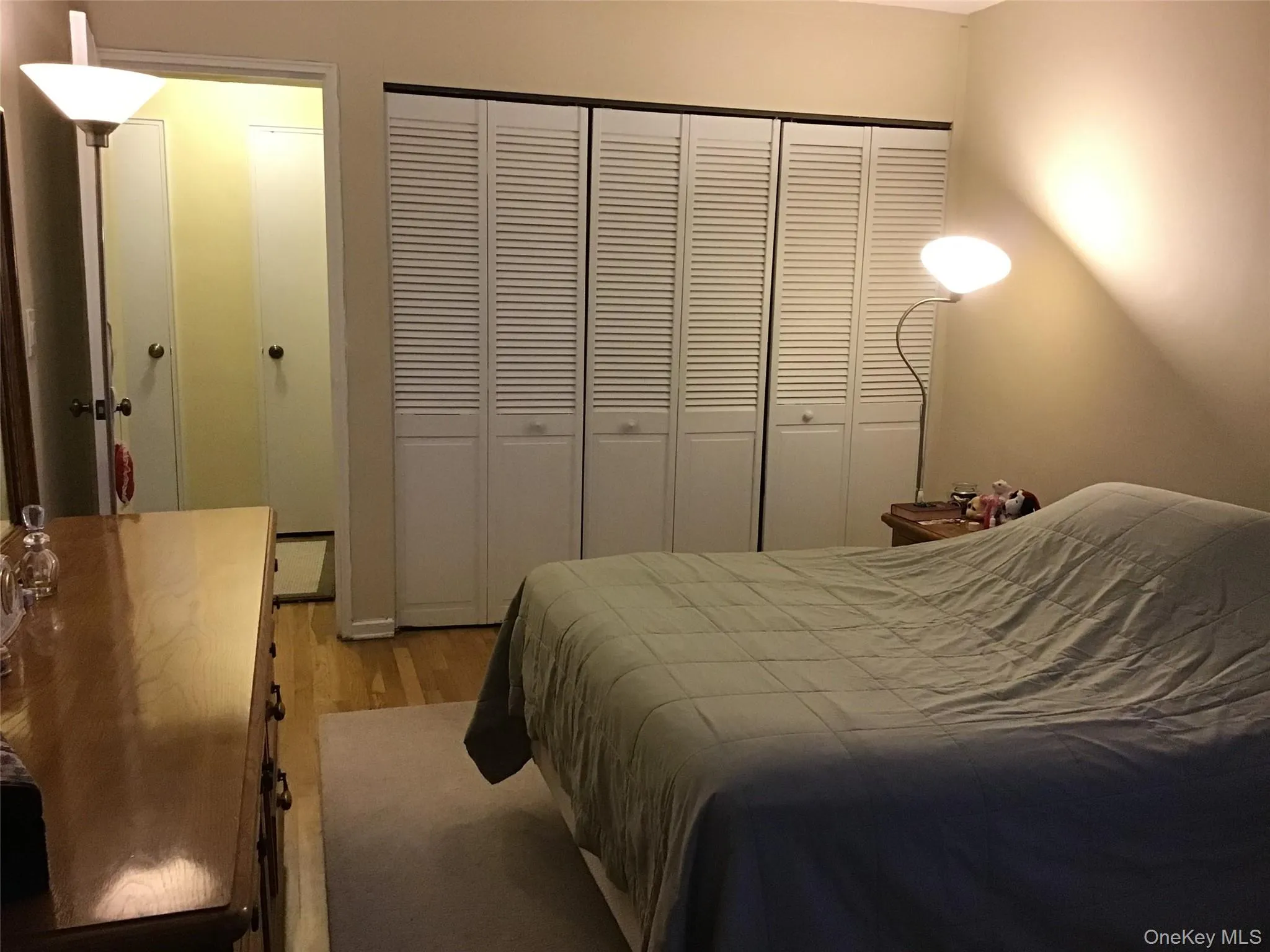Double closet Double closet