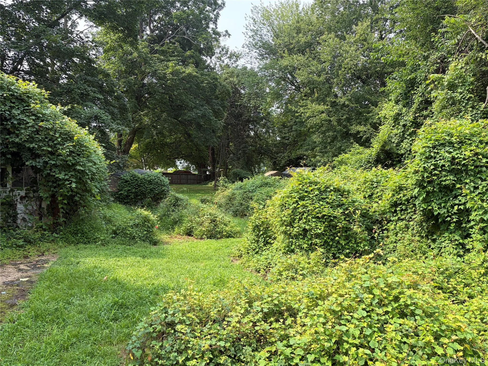 Spacious backyard Spacious backyard