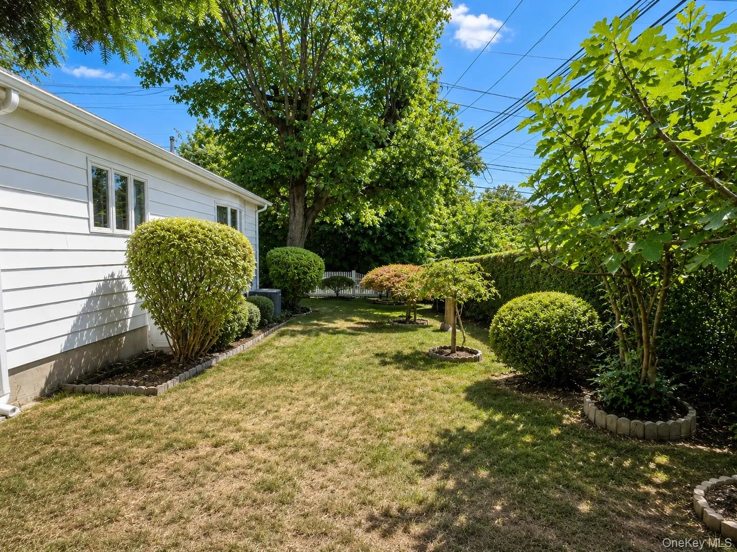 67 King Road, Brookhaven, NY, 3 Bedrooms Bedrooms, 9 Rooms Rooms,1 BathroomBathrooms,Residential,For Rent,King,0,1038176 67 King Road, Brookhaven, NY, 3 Bedrooms Bedrooms, 9 Rooms Rooms,1 BathroomBathrooms,Residential,For Rent,King,0,1038176