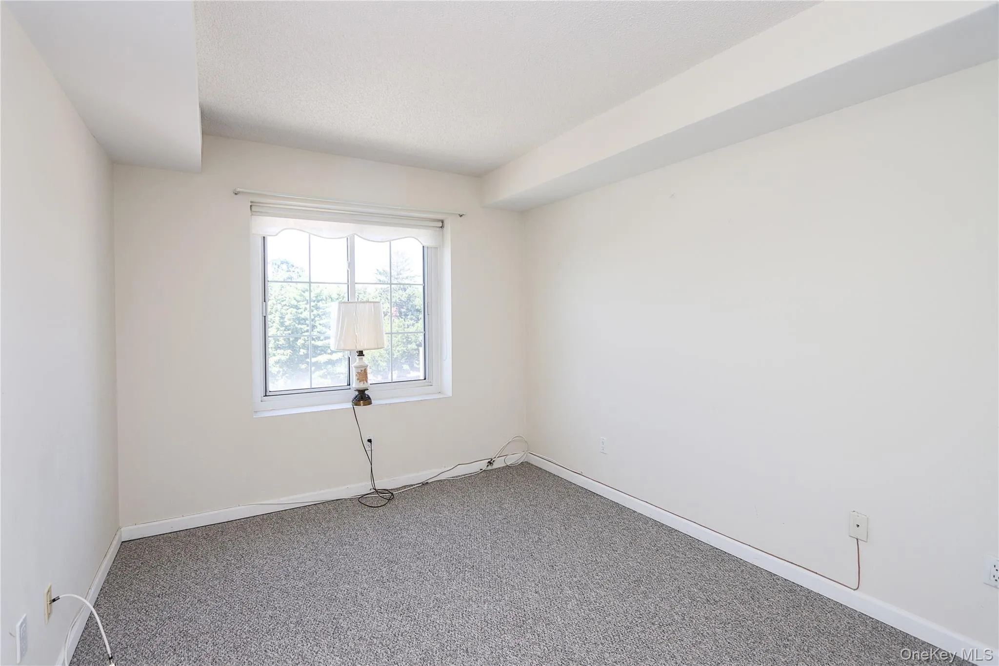 242 Maple Avenue, North Hempstead, NY, 2 Bedrooms Bedrooms, 5 Rooms Rooms,2 BathroomsBathrooms,Residential Lease,For Rent,Maple,0,1038197 242 Maple Avenue, North Hempstead, NY, 2 Bedrooms Bedrooms, 5 Rooms Rooms,2 BathroomsBathrooms,Residential Lease,For Rent,Maple,0,1038197