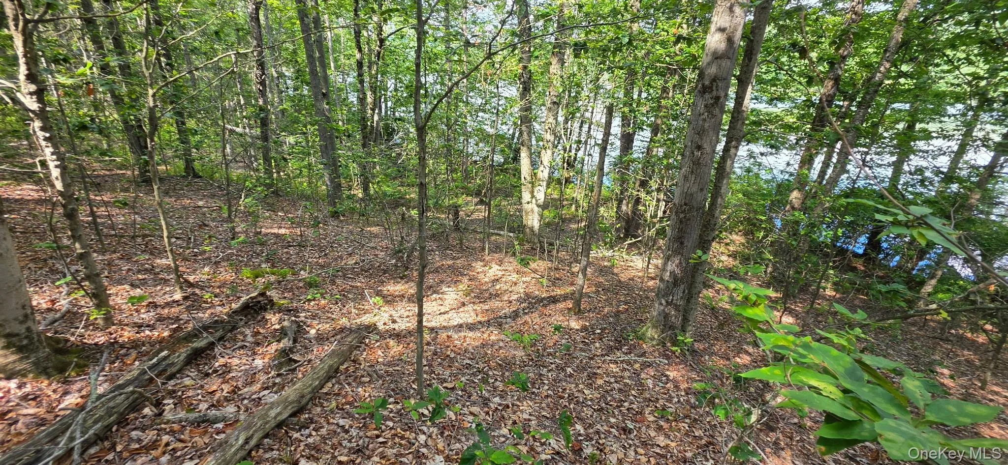 Shore Rd, Liberty, NY, ,Land,For Rent,Shore Rd,0,1038199 Shore Rd, Liberty, NY, ,Land,For Rent,Shore Rd,0,1038199