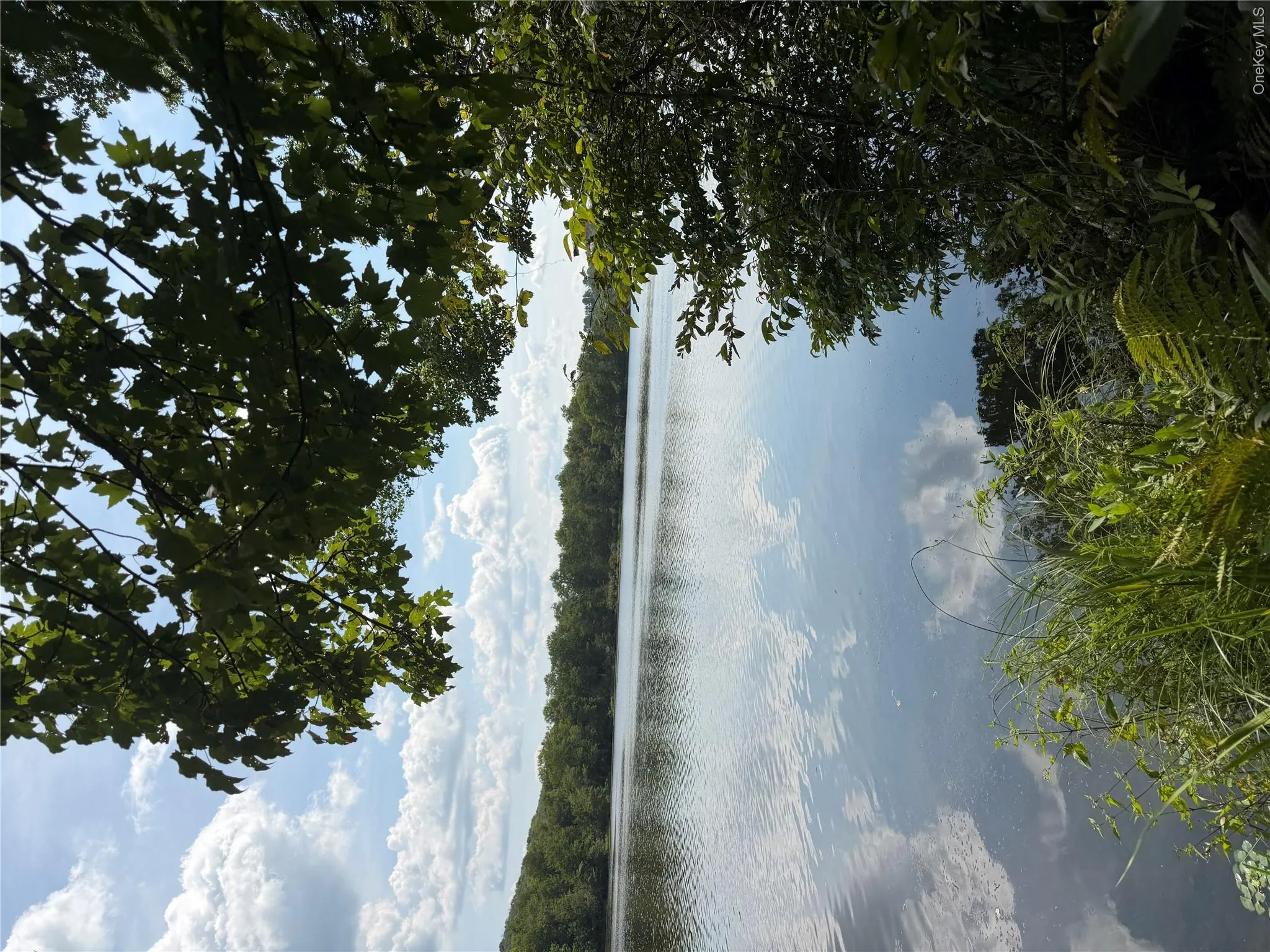 Shore Rd, Liberty, NY, ,Land,For Rent,Shore Rd,0,1038199 Shore Rd, Liberty, NY, ,Land,For Rent,Shore Rd,0,1038199