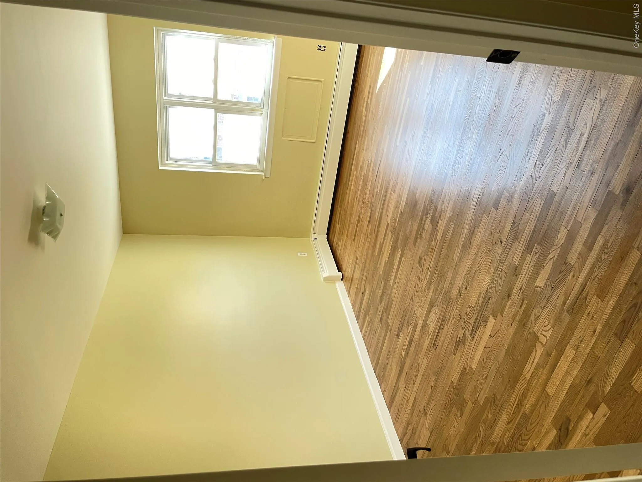 3435 Ely Avenue, New York, NY, 3 Bedrooms Bedrooms, 7 Rooms Rooms,1 BathroomBathrooms,Residential Lease,For Rent,Ely,0,1038261 3435 Ely Avenue, New York, NY, 3 Bedrooms Bedrooms, 7 Rooms Rooms,1 BathroomBathrooms,Residential Lease,For Rent,Ely,0,1038261