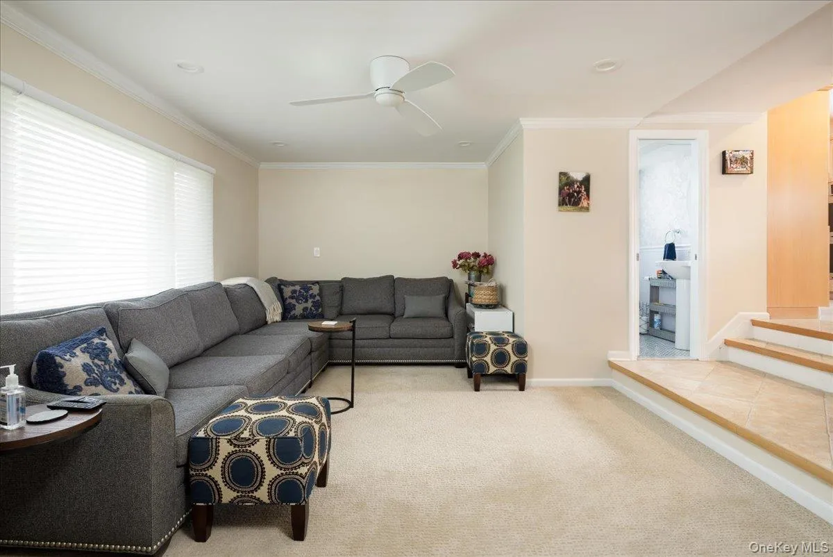 19 Jerold Street, Oyster Bay, NY, 3 Bedrooms Bedrooms, 9 Rooms Rooms,1 BathroomBathrooms,Residential,For Rent,Jerold,0,1038262 19 Jerold Street, Oyster Bay, NY, 3 Bedrooms Bedrooms, 9 Rooms Rooms,1 BathroomBathrooms,Residential,For Rent,Jerold,0,1038262