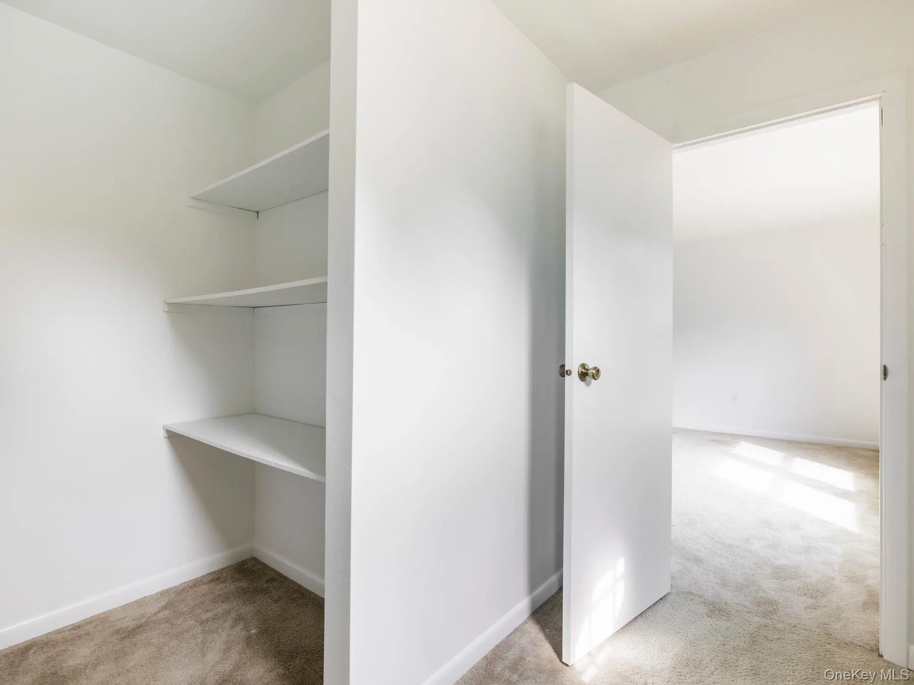 233 Queens Highway, Rochester, NY, 4 Bedrooms Bedrooms, 11 Rooms Rooms,2 BathroomsBathrooms,Residential,For Rent,Queens,0,1038282 233 Queens Highway, Rochester, NY, 4 Bedrooms Bedrooms, 11 Rooms Rooms,2 BathroomsBathrooms,Residential,For Rent,Queens,0,1038282