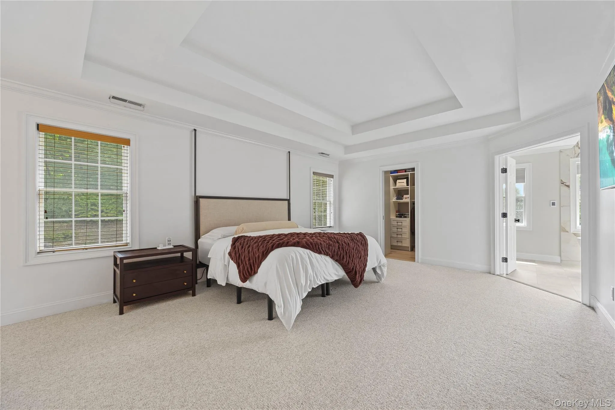 Bedroom with multiple windows, a tray ceiling, and light carpet Bedroom with multiple windows, a tray ceiling, and light carpet
