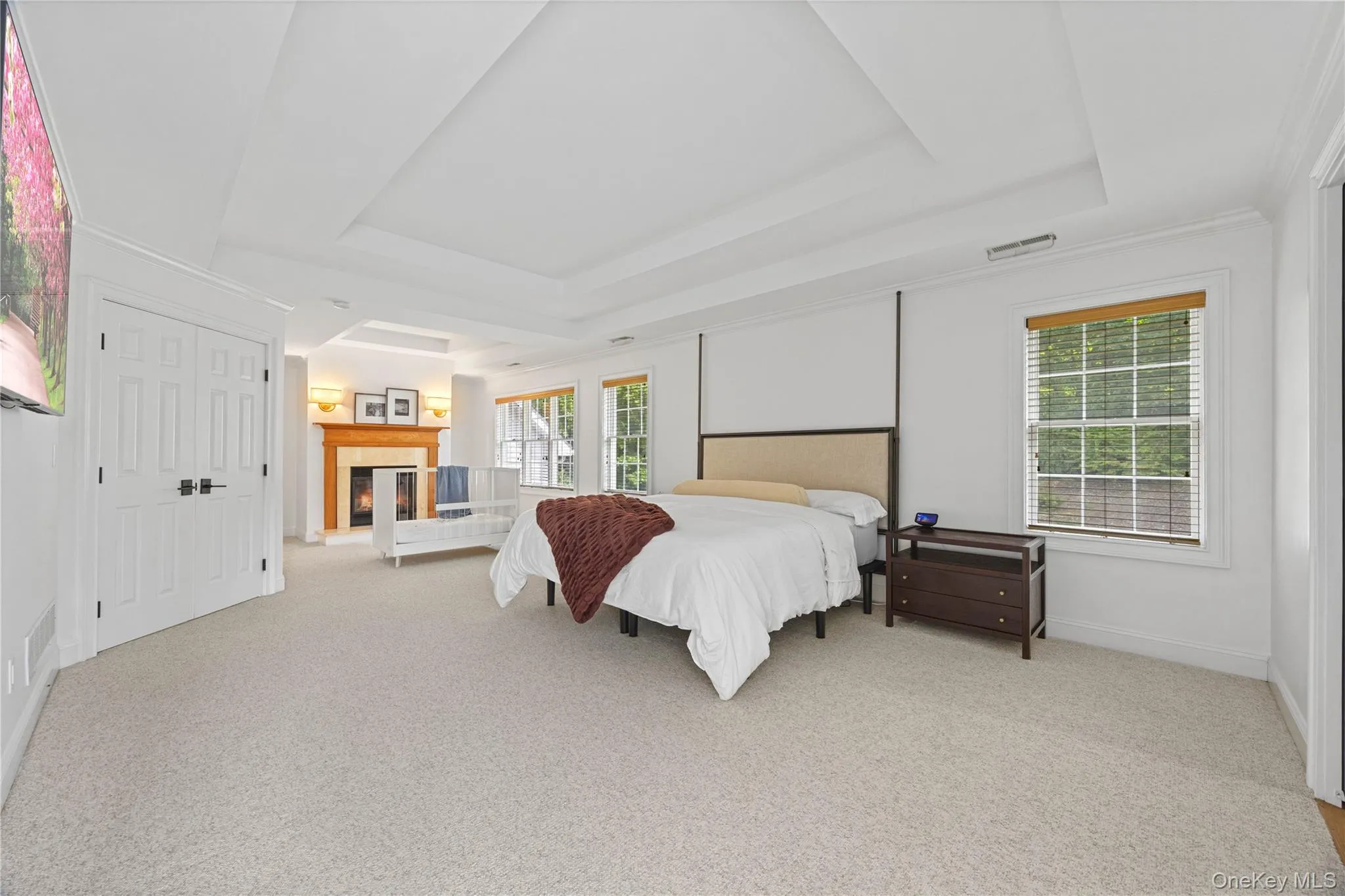 Bedroom featuring multiple windows, a tray ceiling, and a glass covered fireplace Bedroom featuring multiple windows, a tray ceiling, and a glass covered fireplace