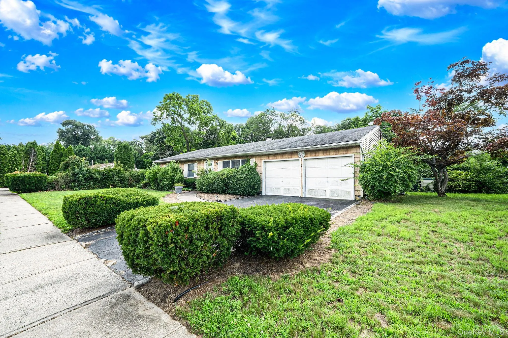18 Wilson Street, Brookhaven, NY, 3 Bedrooms Bedrooms, 7 Rooms Rooms,2 BathroomsBathrooms,Residential,For Rent,Wilson,0,1038296 18 Wilson Street, Brookhaven, NY, 3 Bedrooms Bedrooms, 7 Rooms Rooms,2 BathroomsBathrooms,Residential,For Rent,Wilson,0,1038296
