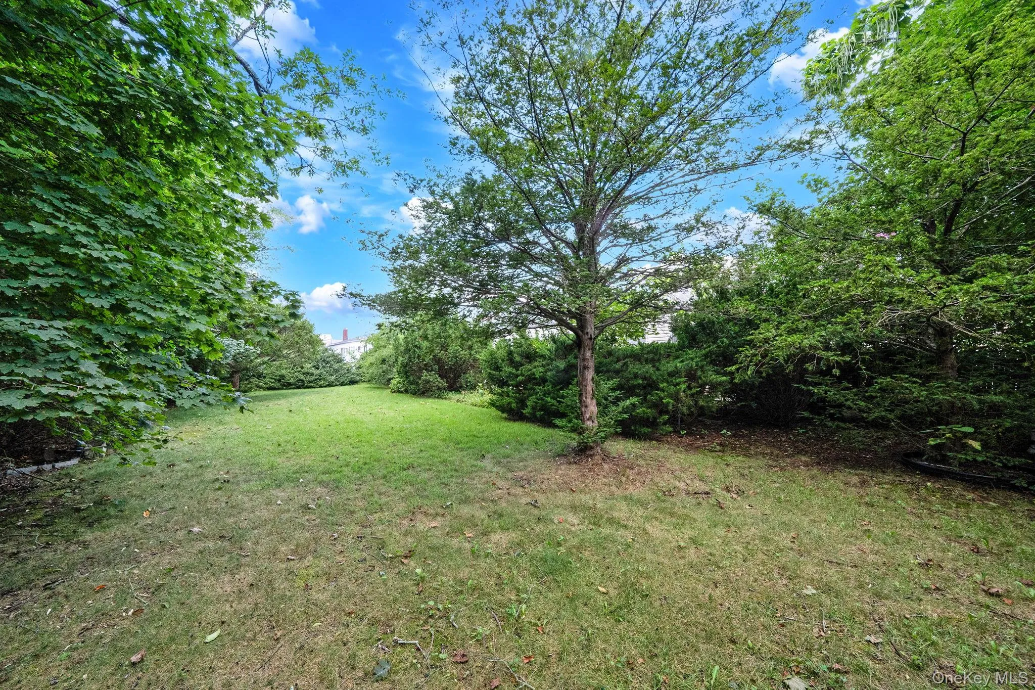 18 Wilson Street, Brookhaven, NY, 3 Bedrooms Bedrooms, 7 Rooms Rooms,2 BathroomsBathrooms,Residential,For Rent,Wilson,0,1038296 18 Wilson Street, Brookhaven, NY, 3 Bedrooms Bedrooms, 7 Rooms Rooms,2 BathroomsBathrooms,Residential,For Rent,Wilson,0,1038296