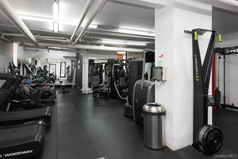 24-65 38th Street, New York, NY, 1 Bedroom Bedrooms, 3 Rooms Rooms,1 BathroomBathrooms,Residential,For Rent,38th,0,1038310 24-65 38th Street, New York, NY, 1 Bedroom Bedrooms, 3 Rooms Rooms,1 BathroomBathrooms,Residential,For Rent,38th,0,1038310