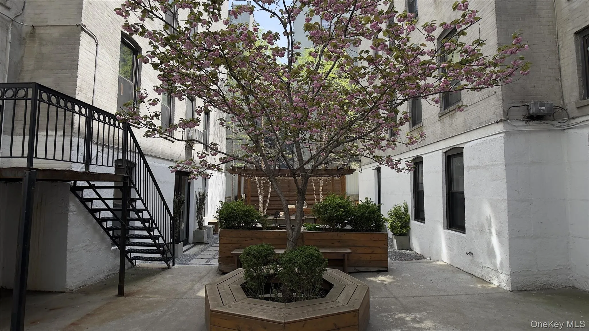 24-65 38th Street, New York, NY, 1 Bedroom Bedrooms, 3 Rooms Rooms,1 BathroomBathrooms,Residential,For Rent,38th,0,1038310 24-65 38th Street, New York, NY, 1 Bedroom Bedrooms, 3 Rooms Rooms,1 BathroomBathrooms,Residential,For Rent,38th,0,1038310