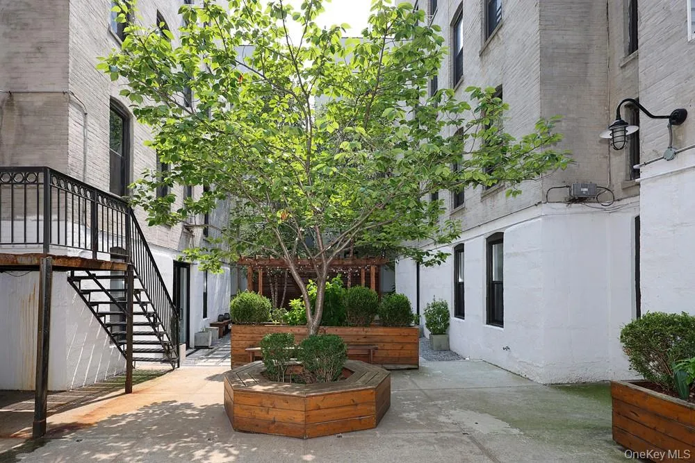 24-65 38th Street, New York, NY, 1 Bedroom Bedrooms, 3 Rooms Rooms,1 BathroomBathrooms,Residential,For Rent,38th,0,1038310 24-65 38th Street, New York, NY, 1 Bedroom Bedrooms, 3 Rooms Rooms,1 BathroomBathrooms,Residential,For Rent,38th,0,1038310