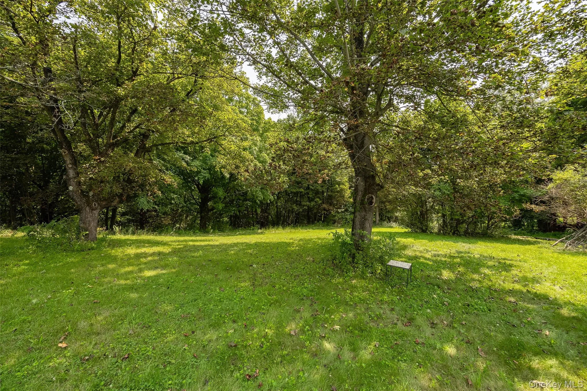 216 Hobbs Lane, Stanford, NY, 2 Bedrooms Bedrooms, 4 Rooms Rooms,2 BathroomsBathrooms,Residential Lease,For Rent,Hobbs,0,1038314 216 Hobbs Lane, Stanford, NY, 2 Bedrooms Bedrooms, 4 Rooms Rooms,2 BathroomsBathrooms,Residential Lease,For Rent,Hobbs,0,1038314