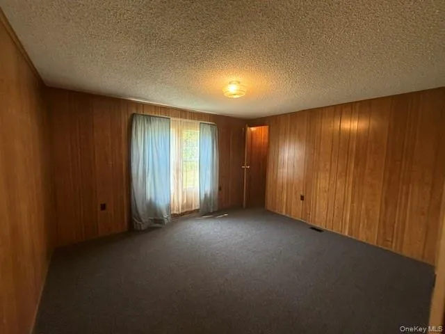 wood paneling, carpeted and walk-in closet wood paneling, carpeted and walk-in closet