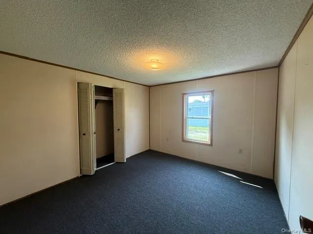 carpeted with closet carpeted with closet