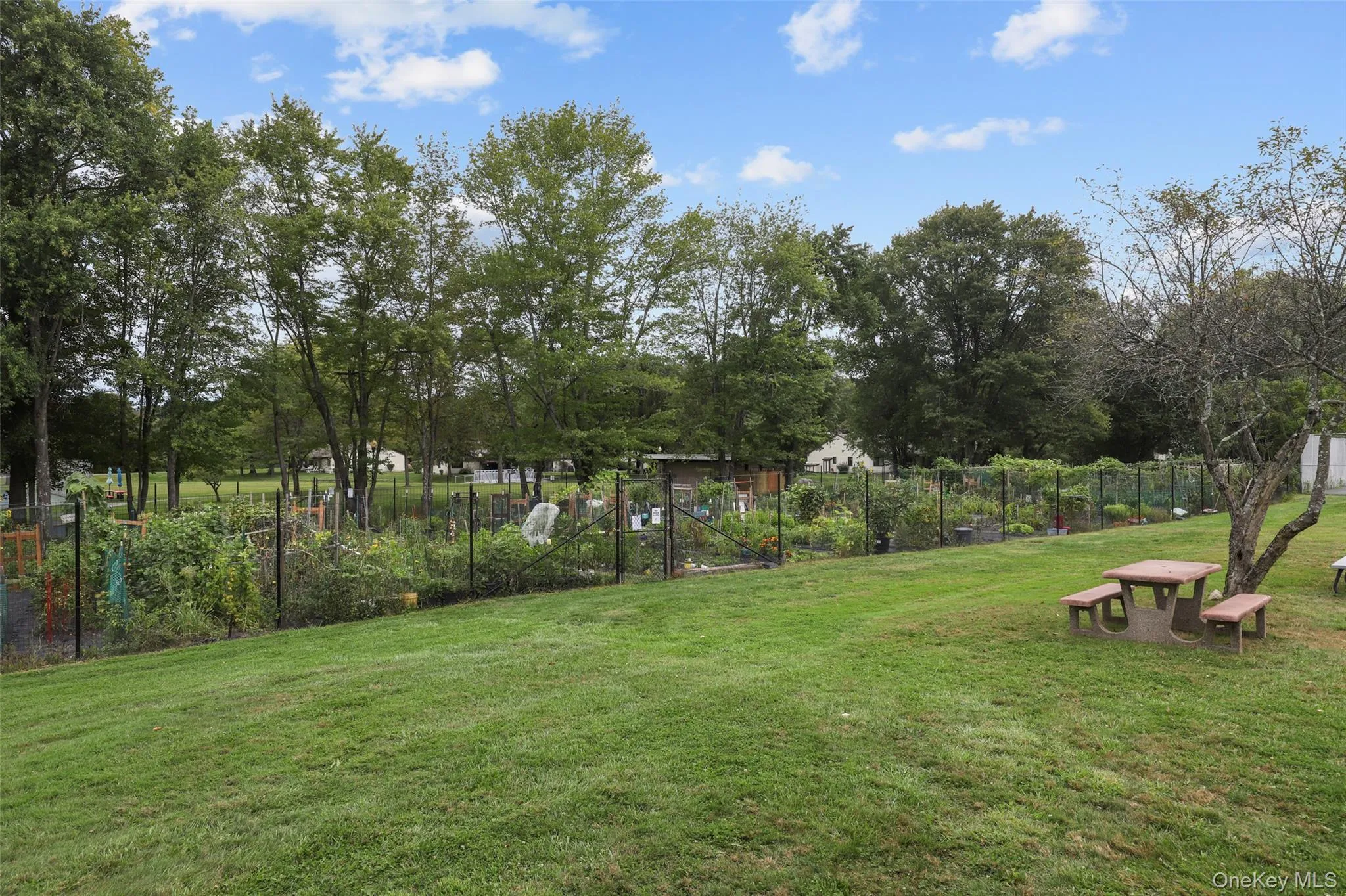Garden club enjoys growing their own vegetables. Garden club enjoys growing their own vegetables.
