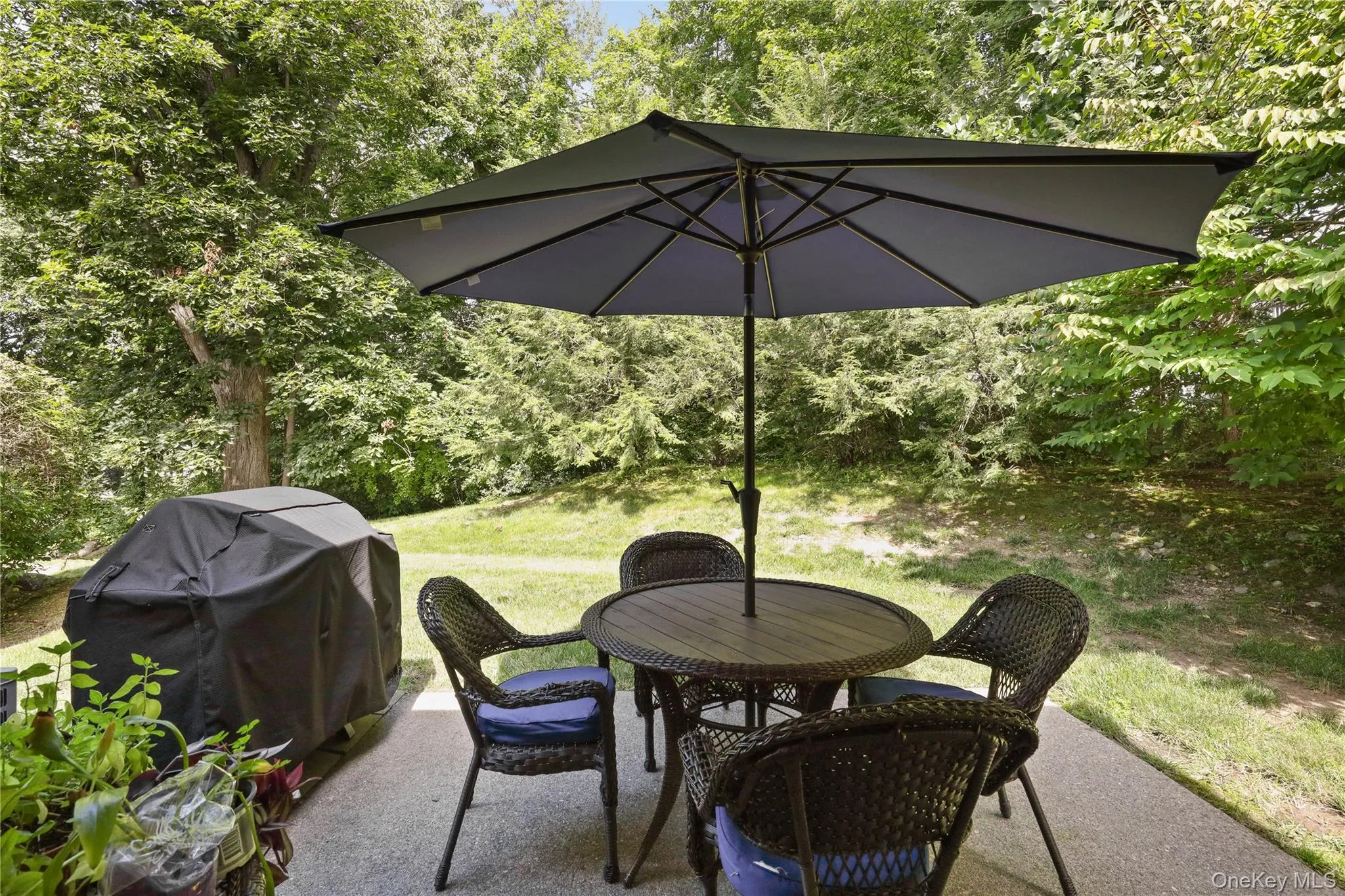 Exceptionally private patio with wooded views Exceptionally private patio with wooded views