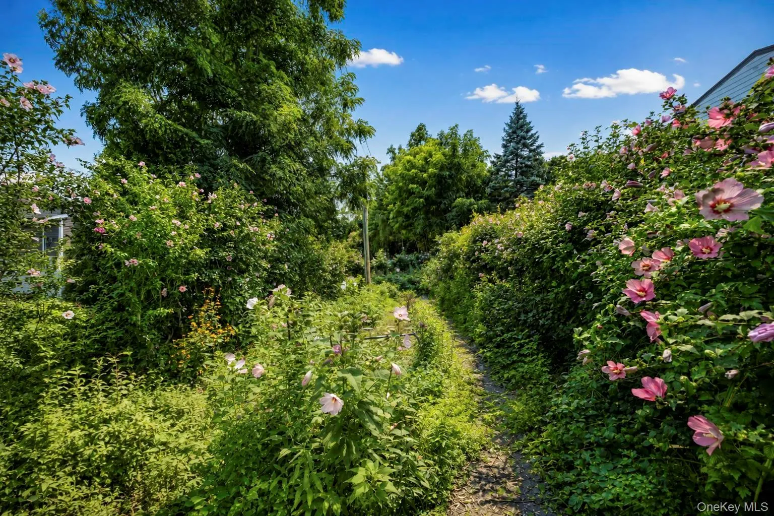 172 Lawrence Road, Smithtown, NY, 4 Bedrooms Bedrooms, 8 Rooms Rooms,2 BathroomsBathrooms,Residential,For Rent,Lawrence,0,1038344 172 Lawrence Road, Smithtown, NY, 4 Bedrooms Bedrooms, 8 Rooms Rooms,2 BathroomsBathrooms,Residential,For Rent,Lawrence,0,1038344