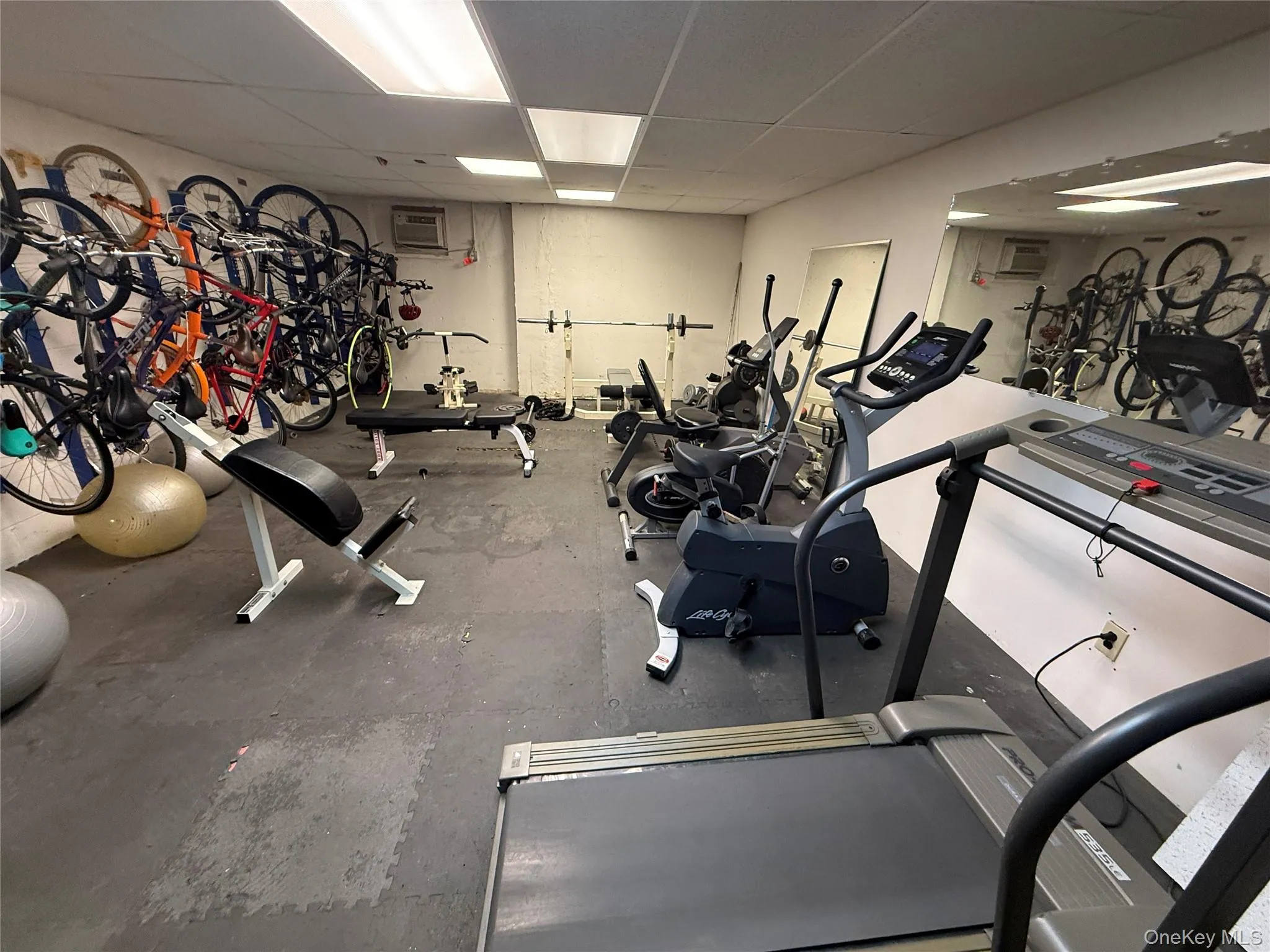 35 Park Avenue, Ramapo, NY, 1 Bedroom Bedrooms, 4 Rooms Rooms,1 BathroomBathrooms,Residential Lease,For Rent,Park,0,1038373 35 Park Avenue, Ramapo, NY, 1 Bedroom Bedrooms, 4 Rooms Rooms,1 BathroomBathrooms,Residential Lease,For Rent,Park,0,1038373