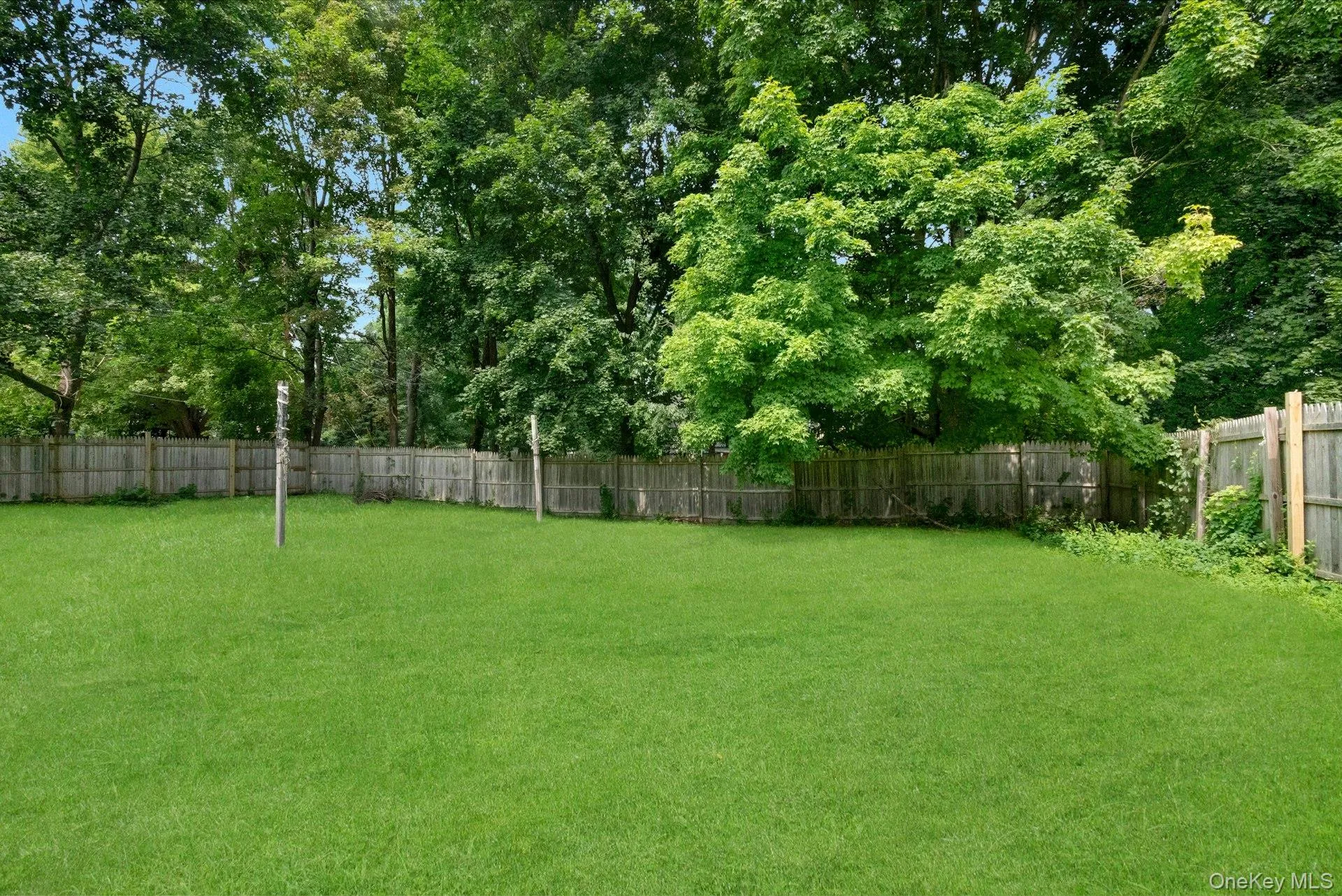 Fenced backyard with open lawn and mature landscaping. Fenced backyard with open lawn and mature landscaping.