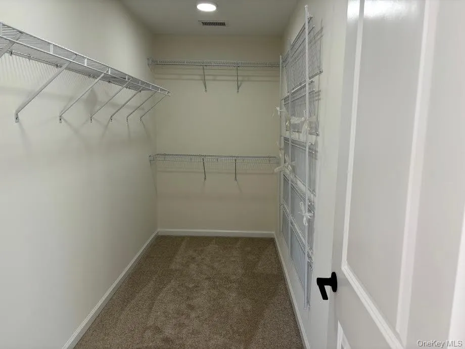 Spacious closet with carpet flooring Spacious closet with carpet flooring