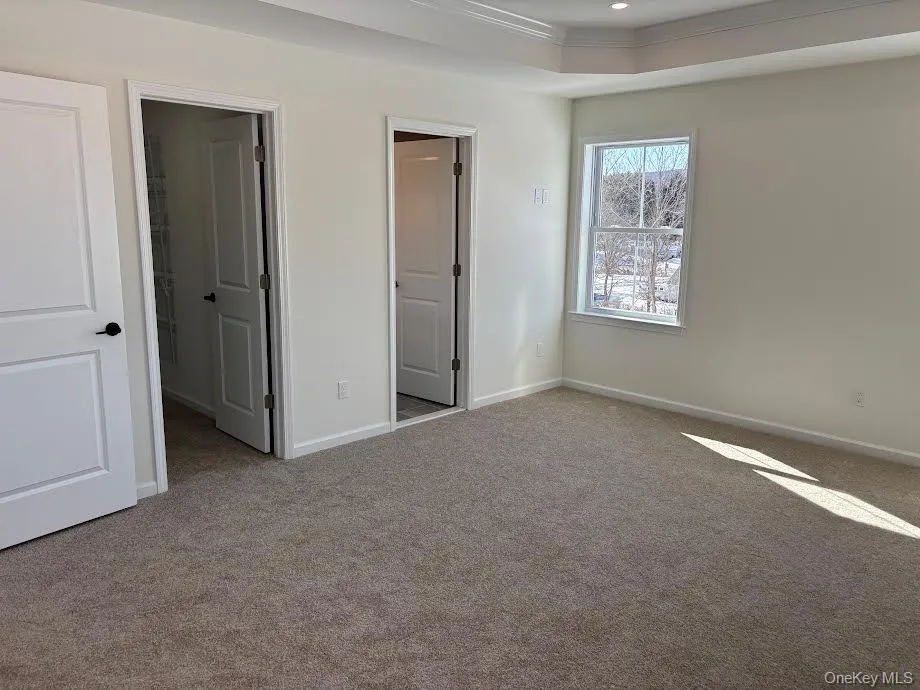 Unfurnished bedroom featuring a tray ceiling, a spacious closet, and light colored carpet Unfurnished bedroom featuring a tray ceiling, a spacious closet, and light colored carpet