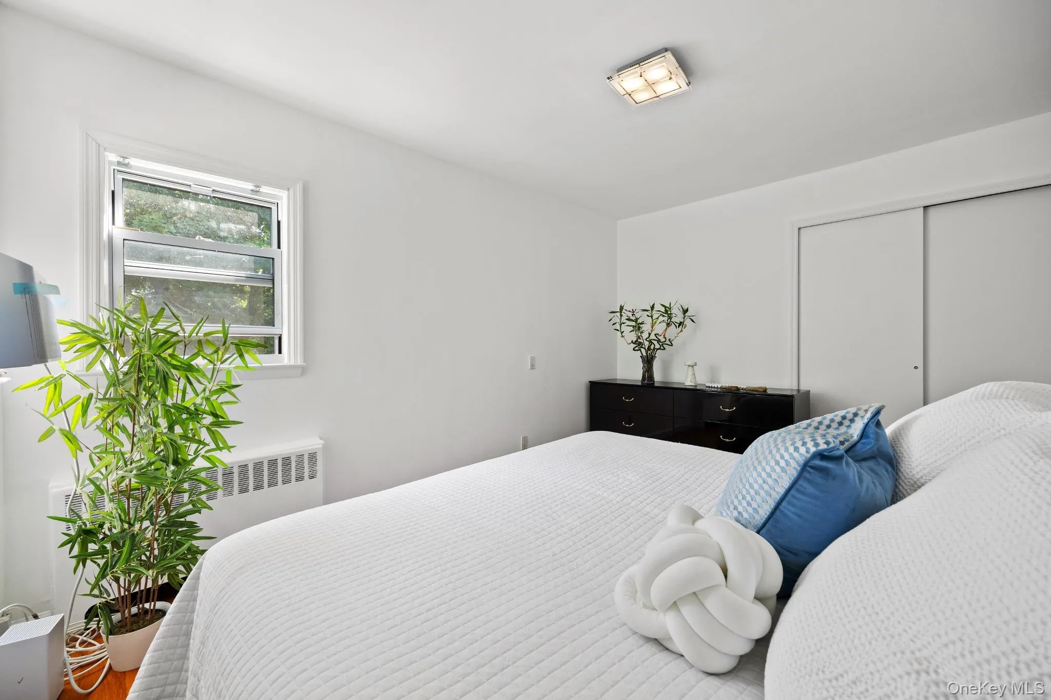 21 Joyce Road, Greenburgh, NY, 3 Bedrooms Bedrooms, 8 Rooms Rooms,1 BathroomBathrooms,Residential Lease,For Rent,Joyce,0,1038406 21 Joyce Road, Greenburgh, NY, 3 Bedrooms Bedrooms, 8 Rooms Rooms,1 BathroomBathrooms,Residential Lease,For Rent,Joyce,0,1038406