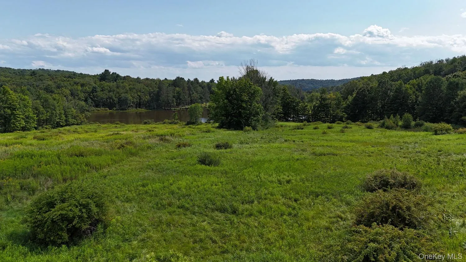 Waterfront Lot 15 Meadow Lane, Fremont, NY, ,Land,For Rent,Meadow,0,1038451 Waterfront Lot 15 Meadow Lane, Fremont, NY, ,Land,For Rent,Meadow,0,1038451