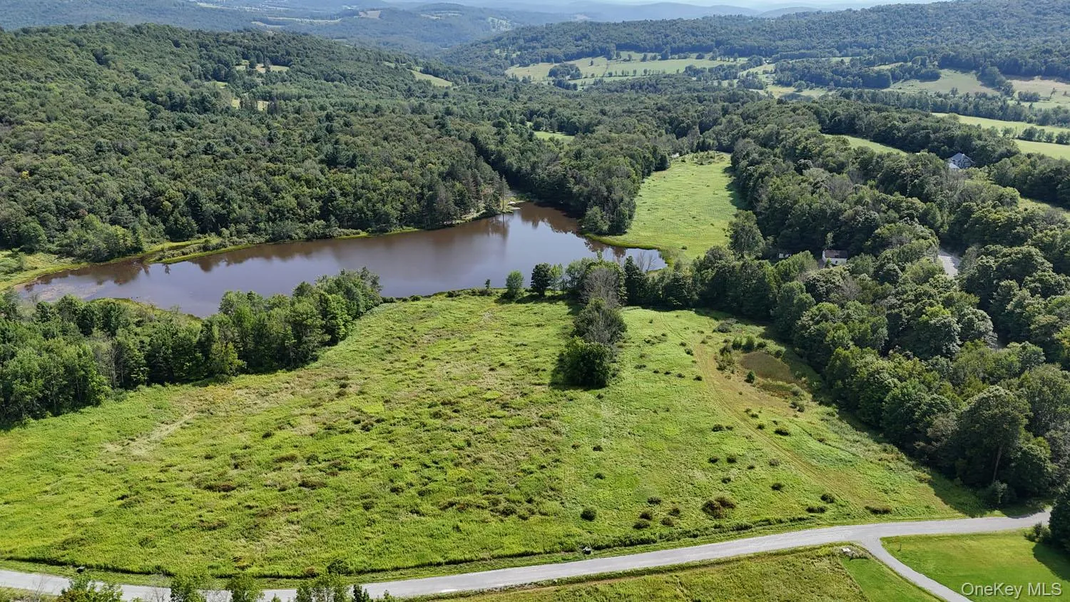 Waterfront Lot 15 Meadow Lane, Fremont, NY, ,Land,For Rent,Meadow,0,1038451 Waterfront Lot 15 Meadow Lane, Fremont, NY, ,Land,For Rent,Meadow,0,1038451