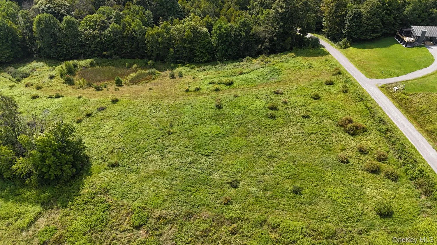 Waterfront Lot 15 Meadow Lane, Fremont, NY, ,Land,For Rent,Meadow,0,1038451 Waterfront Lot 15 Meadow Lane, Fremont, NY, ,Land,For Rent,Meadow,0,1038451