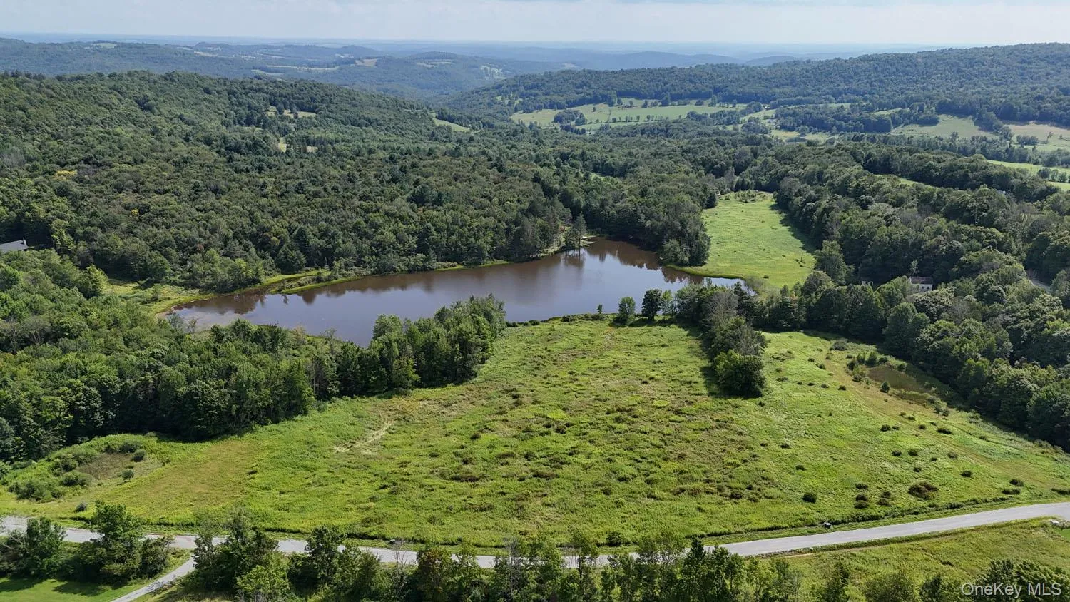 Waterfront Lot 15 Meadow Lane, Fremont, NY, ,Land,For Rent,Meadow,0,1038451 Waterfront Lot 15 Meadow Lane, Fremont, NY, ,Land,For Rent,Meadow,0,1038451