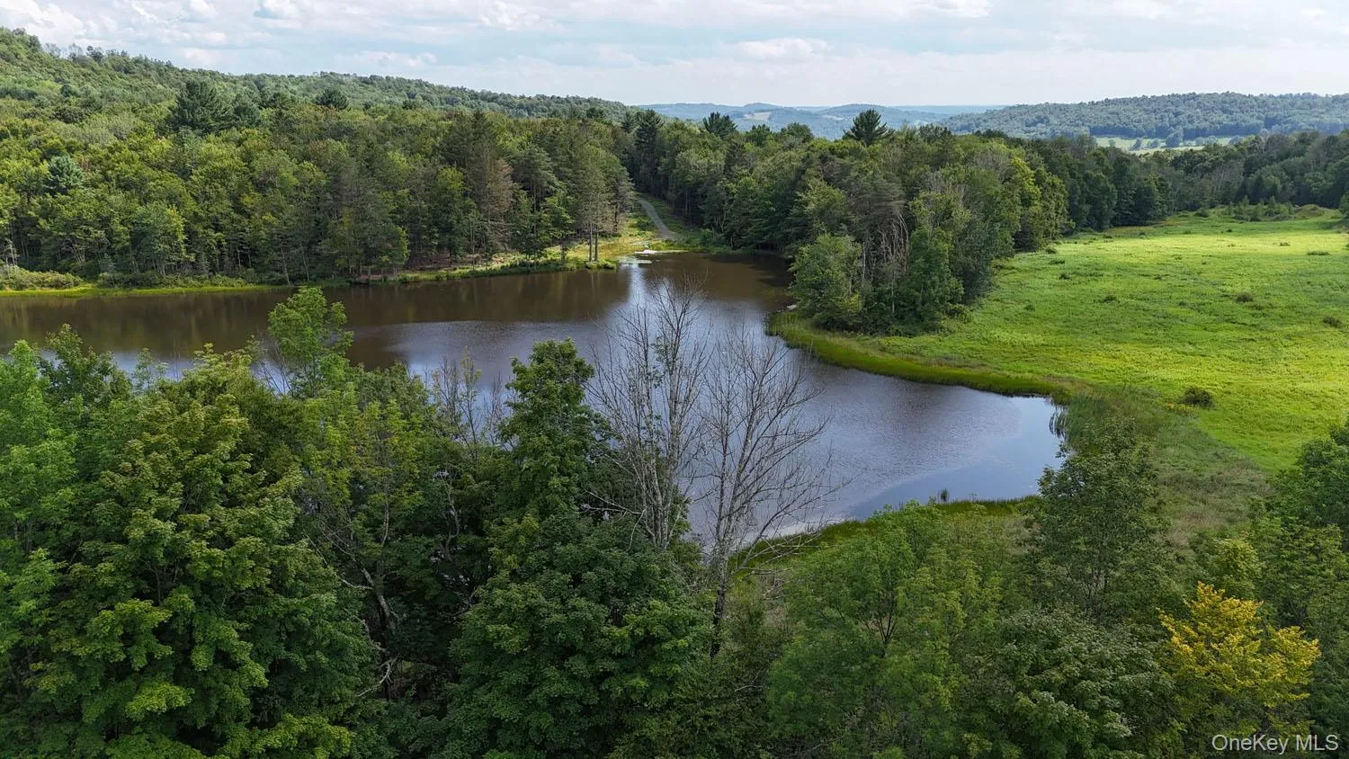 Waterfront Lot 15 Meadow Lane, Fremont, NY, ,Land,For Rent,Meadow,0,1038451 Waterfront Lot 15 Meadow Lane, Fremont, NY, ,Land,For Rent,Meadow,0,1038451