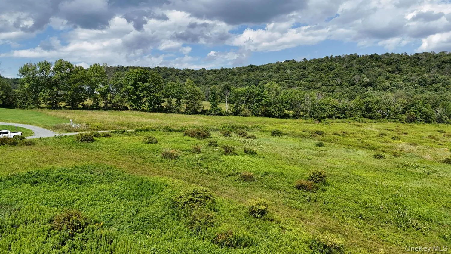 Waterfront Lot 15 Meadow Lane, Fremont, NY, ,Land,For Rent,Meadow,0,1038451 Waterfront Lot 15 Meadow Lane, Fremont, NY, ,Land,For Rent,Meadow,0,1038451