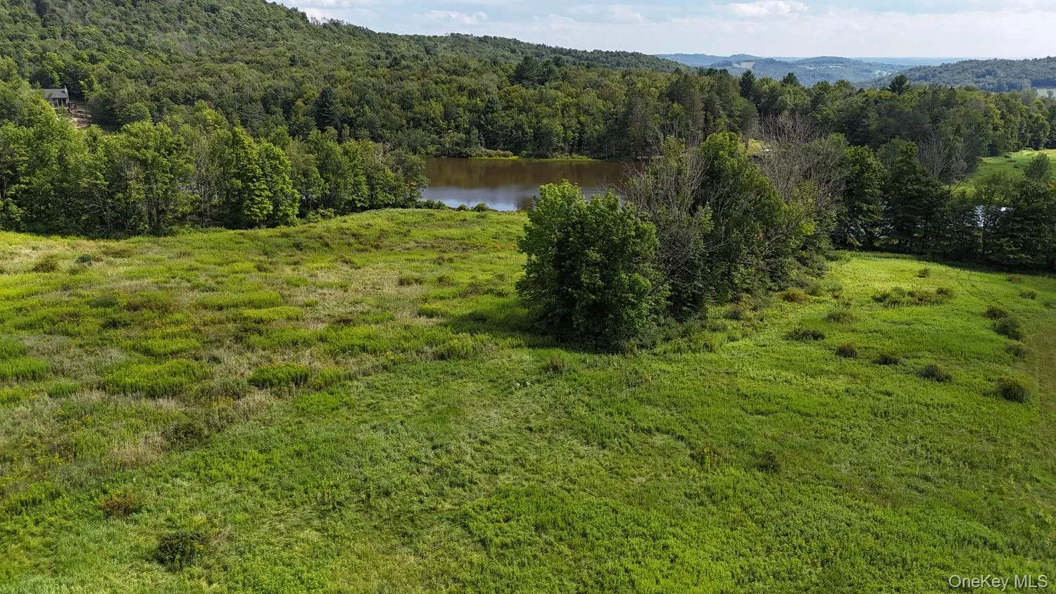 Waterfront Lot 15 Meadow Lane, Fremont, NY, ,Land,For Rent,Meadow,0,1038451 Waterfront Lot 15 Meadow Lane, Fremont, NY, ,Land,For Rent,Meadow,0,1038451