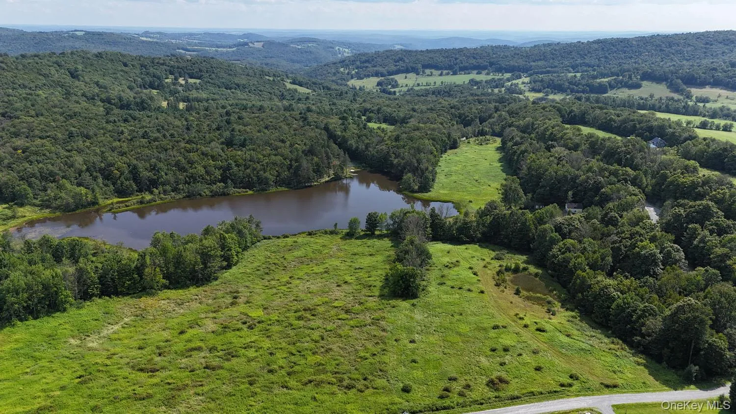 Waterfront Lot 15 Meadow Lane, Fremont, NY, ,Land,For Rent,Meadow,0,1038451 Waterfront Lot 15 Meadow Lane, Fremont, NY, ,Land,For Rent,Meadow,0,1038451