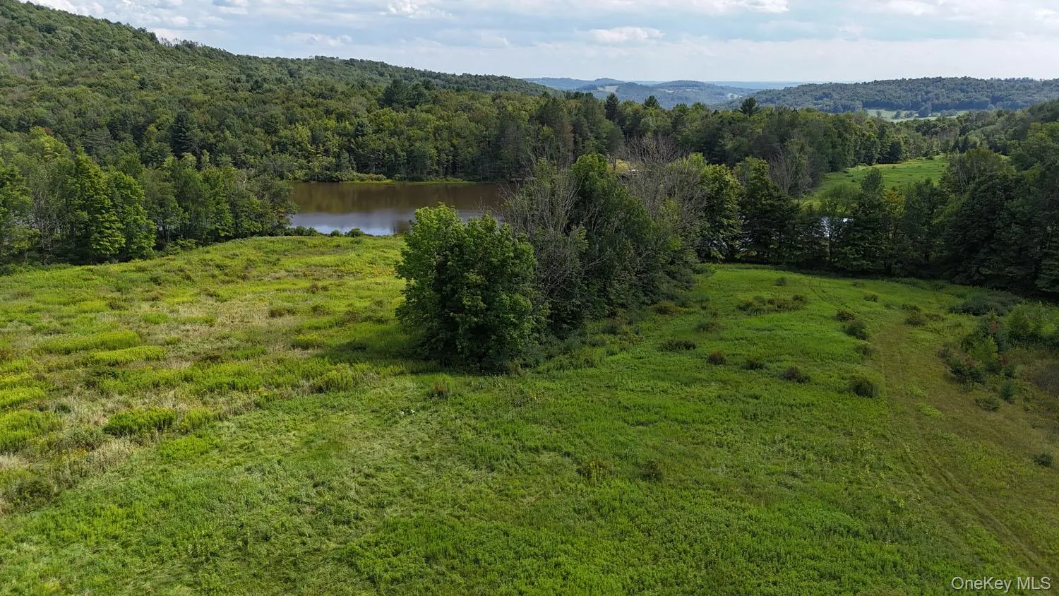 Waterfront Lot 15 Meadow Lane, Fremont, NY, ,Land,For Rent,Meadow,0,1038451 Waterfront Lot 15 Meadow Lane, Fremont, NY, ,Land,For Rent,Meadow,0,1038451