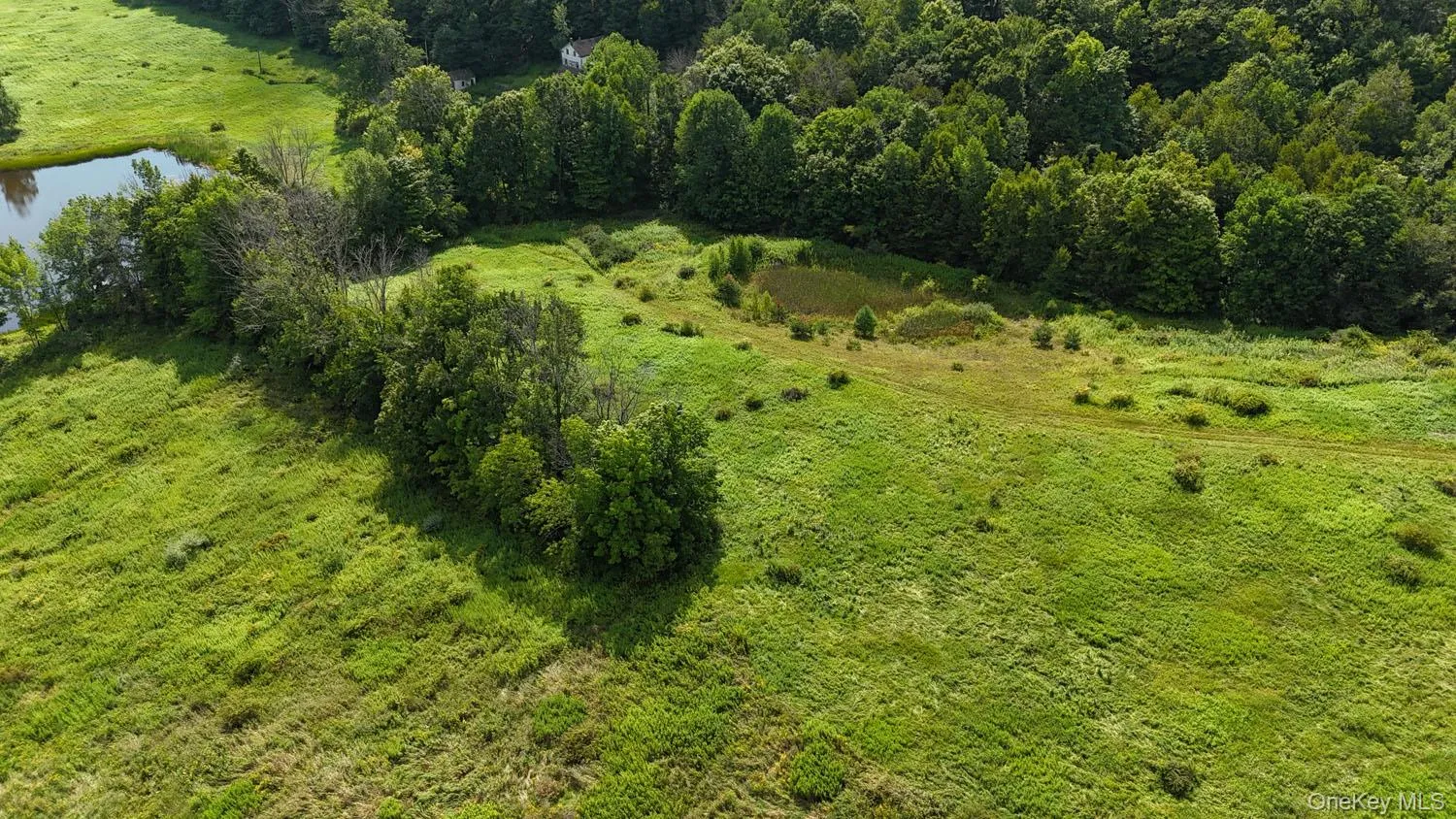 Waterfront Lot 15 Meadow Lane, Fremont, NY, ,Land,For Rent,Meadow,0,1038451 Waterfront Lot 15 Meadow Lane, Fremont, NY, ,Land,For Rent,Meadow,0,1038451